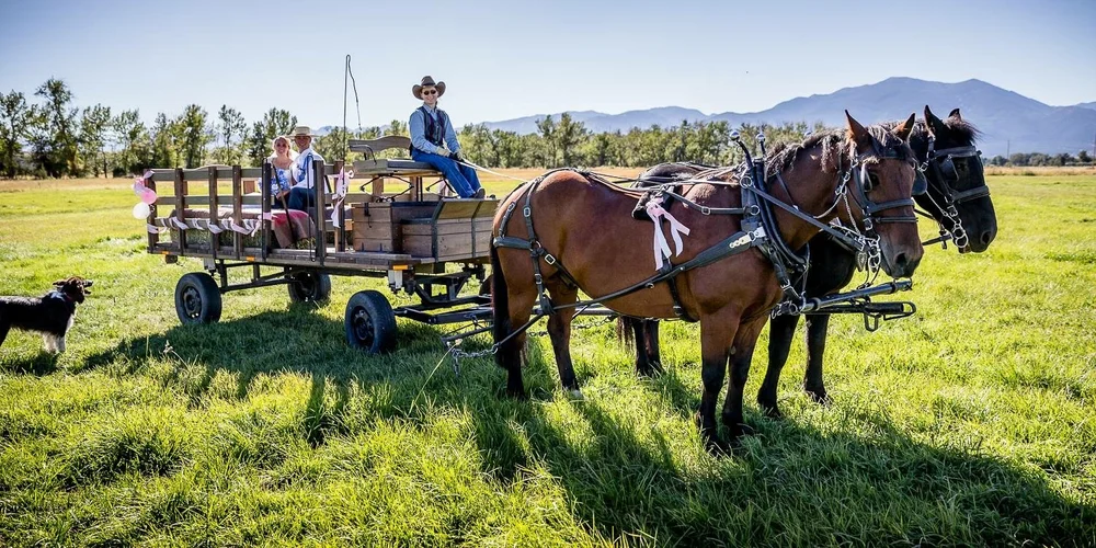 Services 3 — Out West Wagon Rides