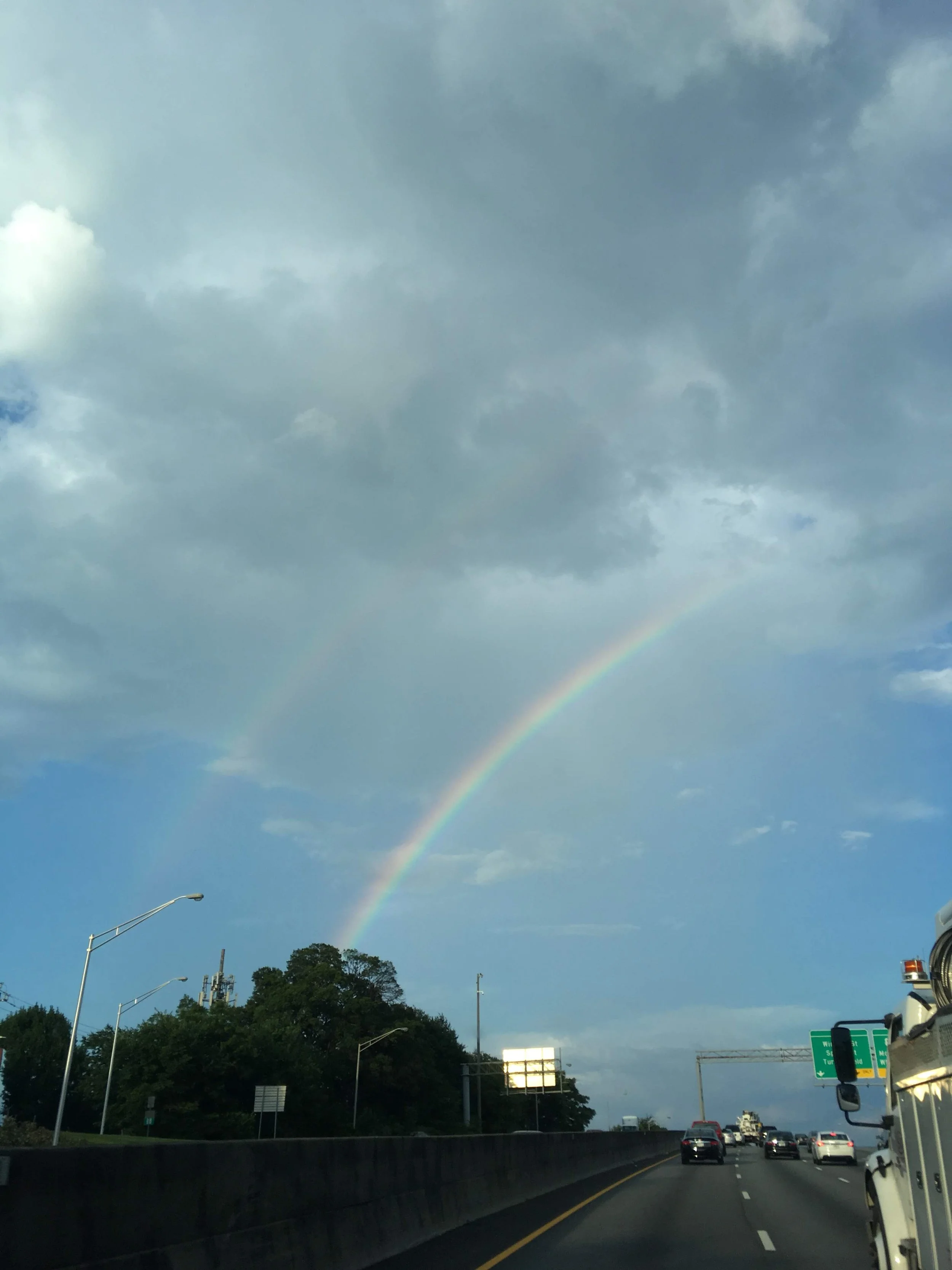 "Summer Joy" by Elena Goodrow