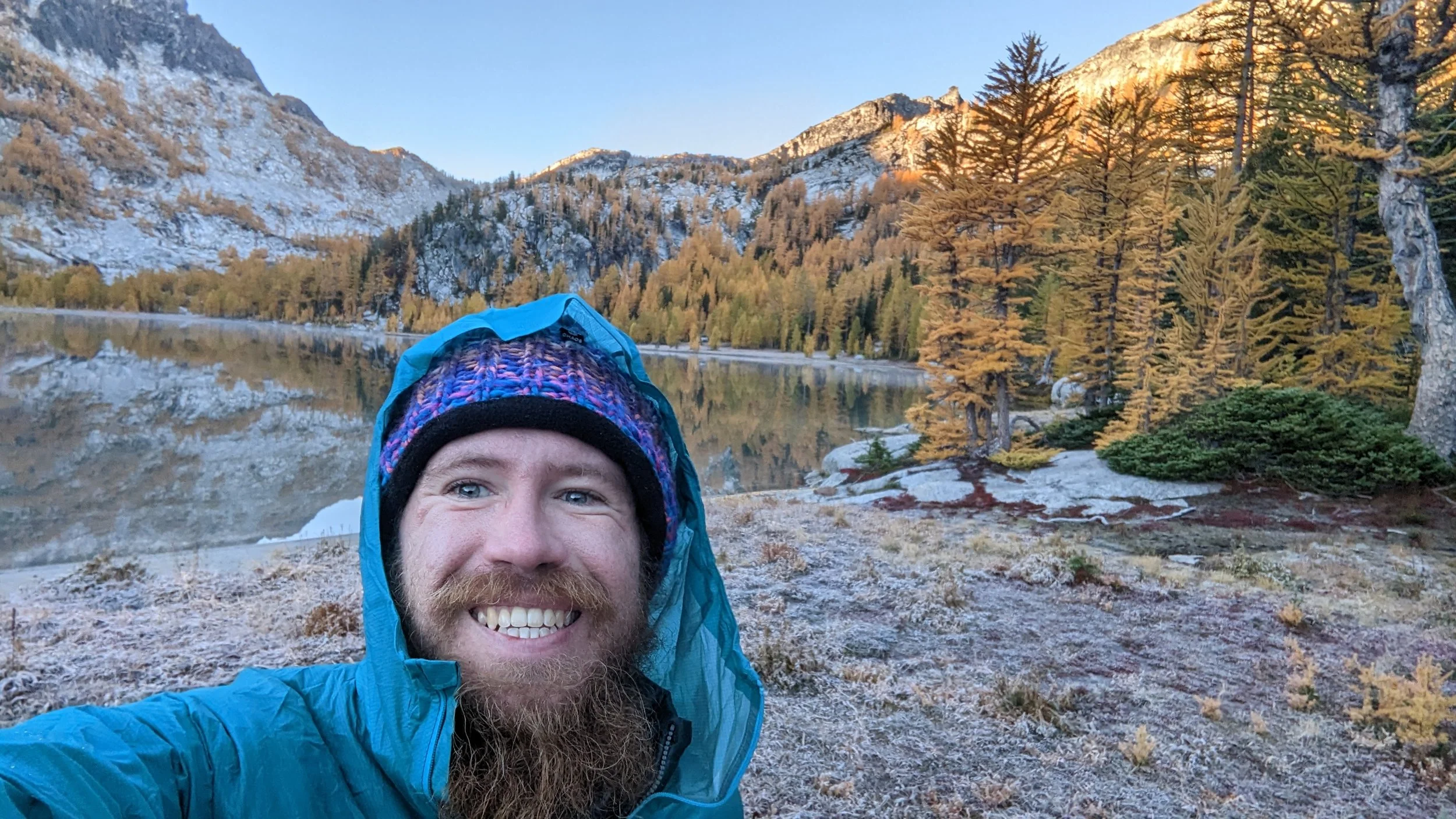 "The Trees are Alive with the Sound of Coughing" by Devin Wakefield