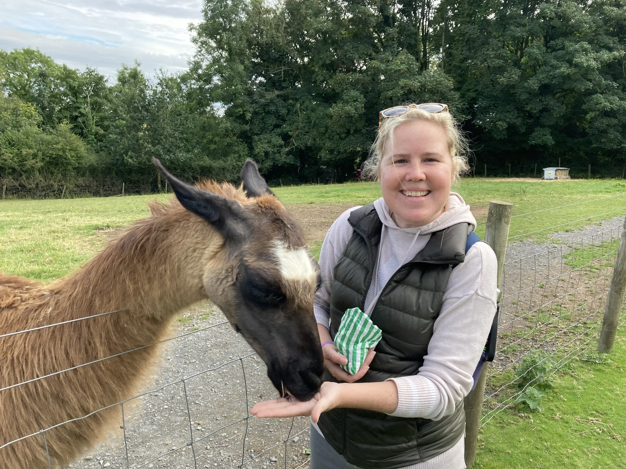 "Experiencing Two Healthcare Systems" by Maggie Williamson