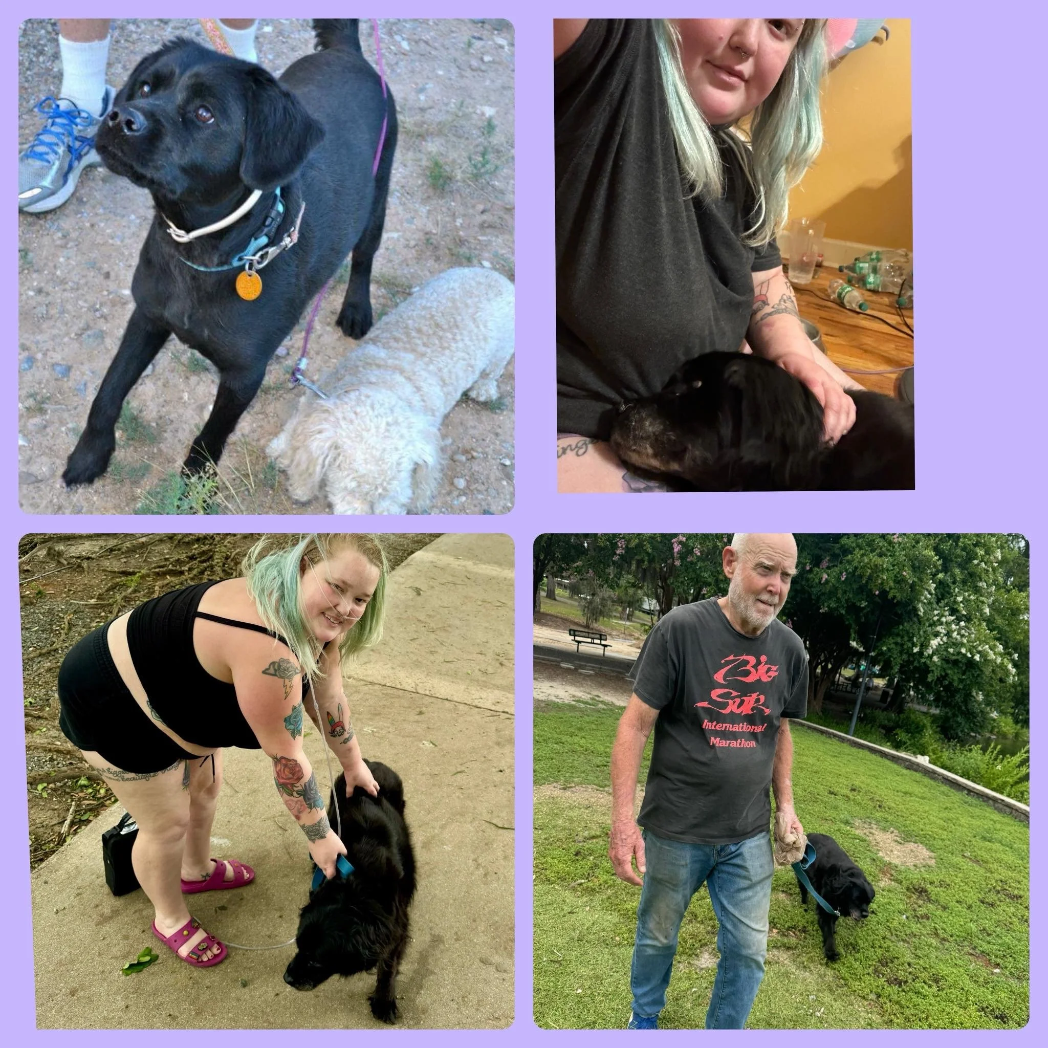 "Little Orphan, Annie" by Mycah Rose