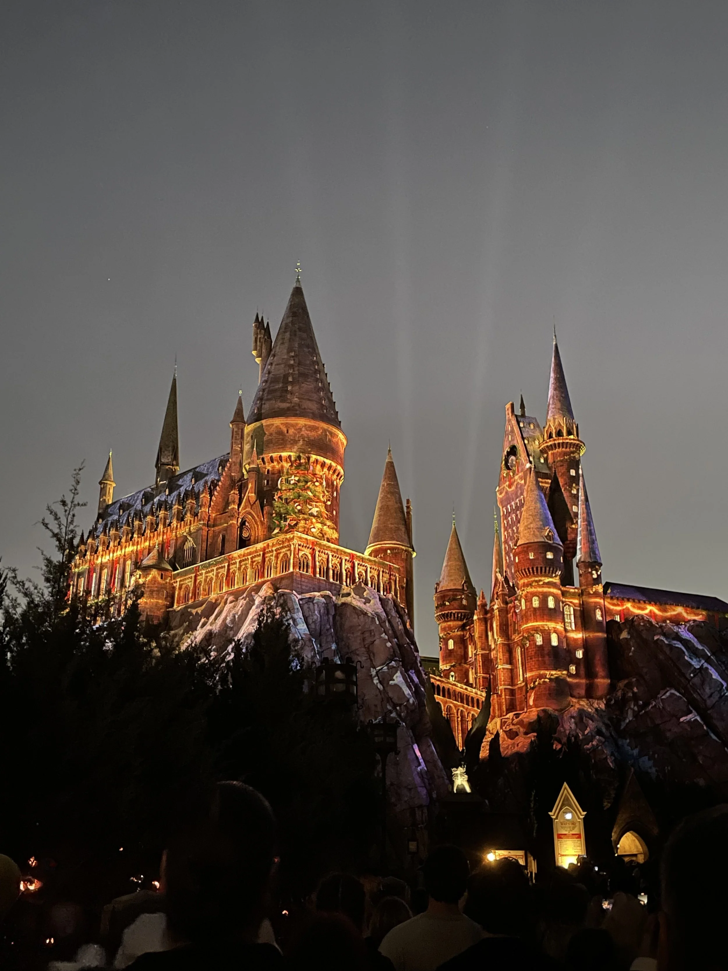 "Happy New Year!" by Elena Goodrow