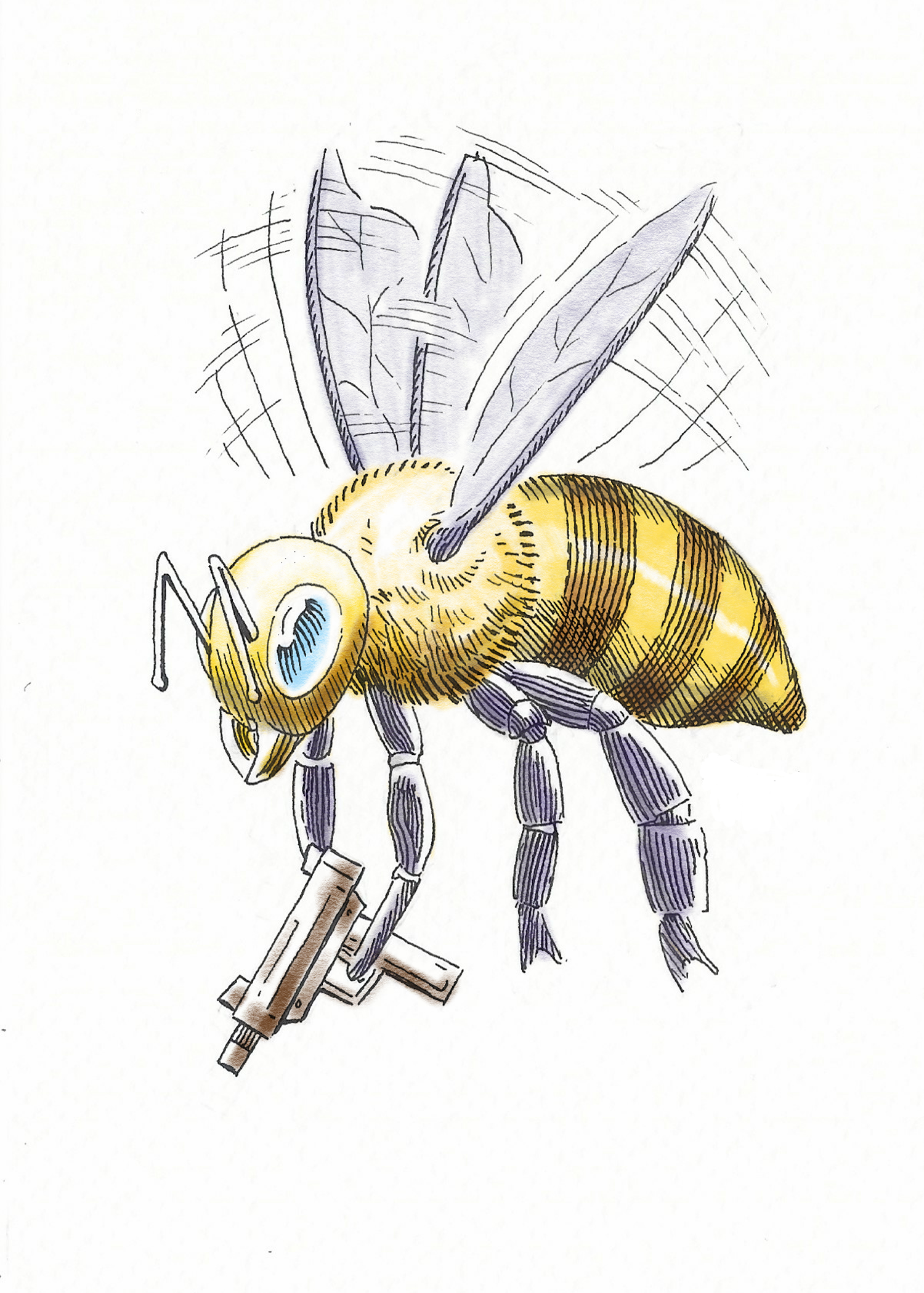 5 x 7 bee print.png