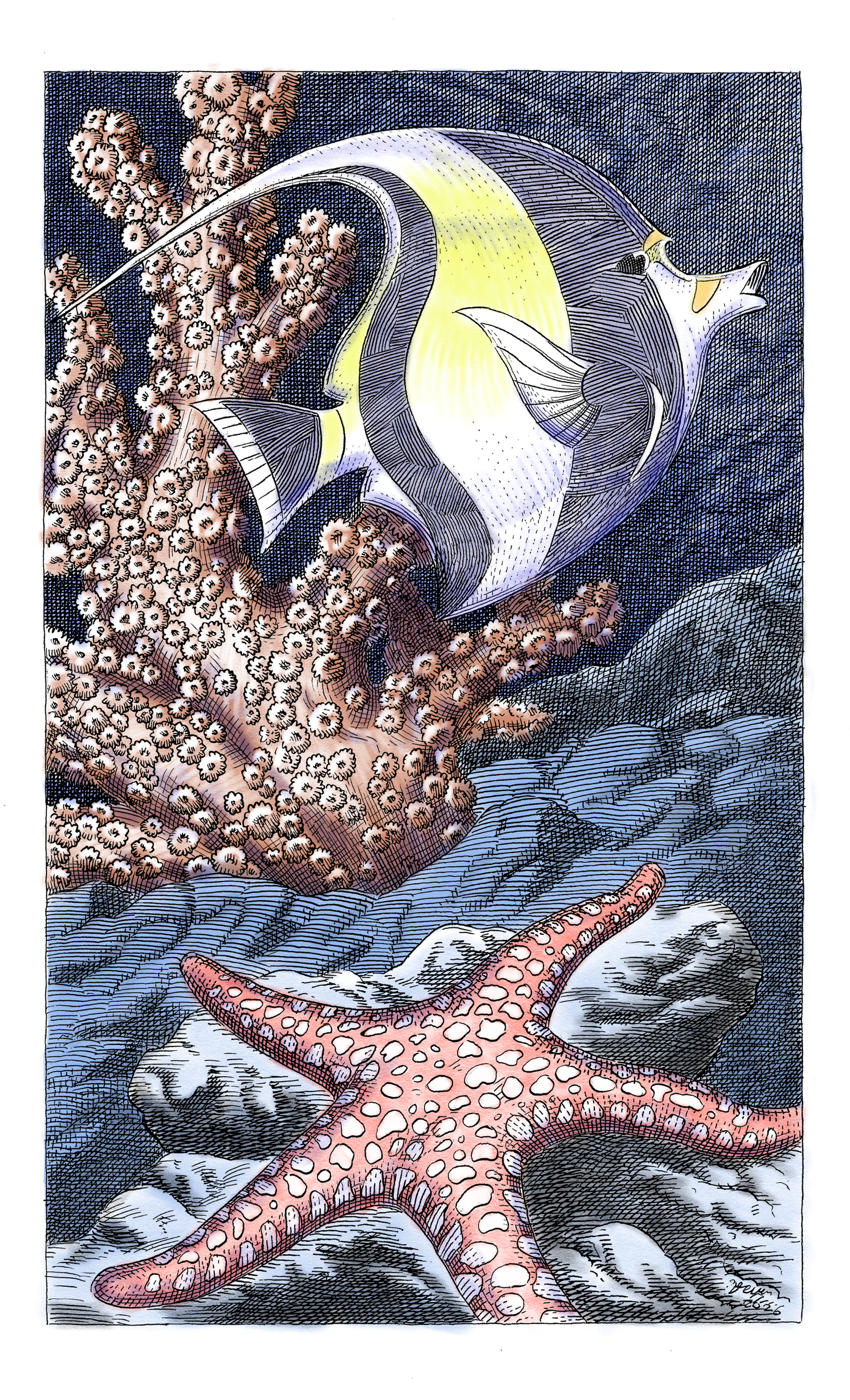8_5_x_14_inch_prints_MOORFISH_under20mb.png