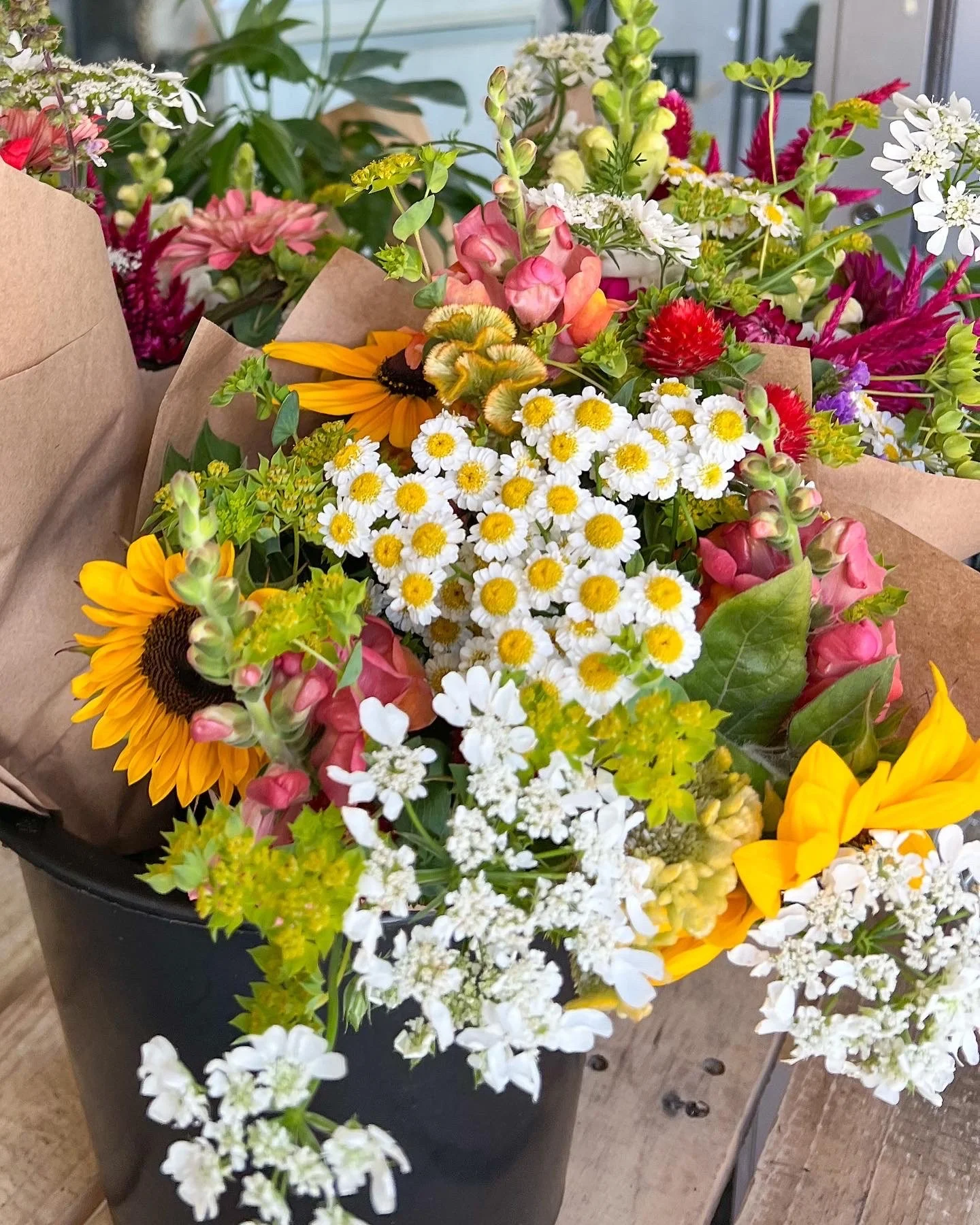 The Story of Our Farm — Ludlow Farms CNY