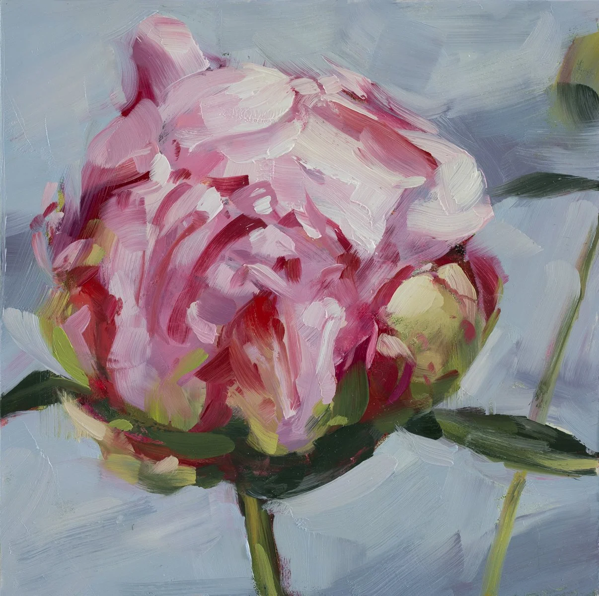 Peony Potential - Original Oil Painting
