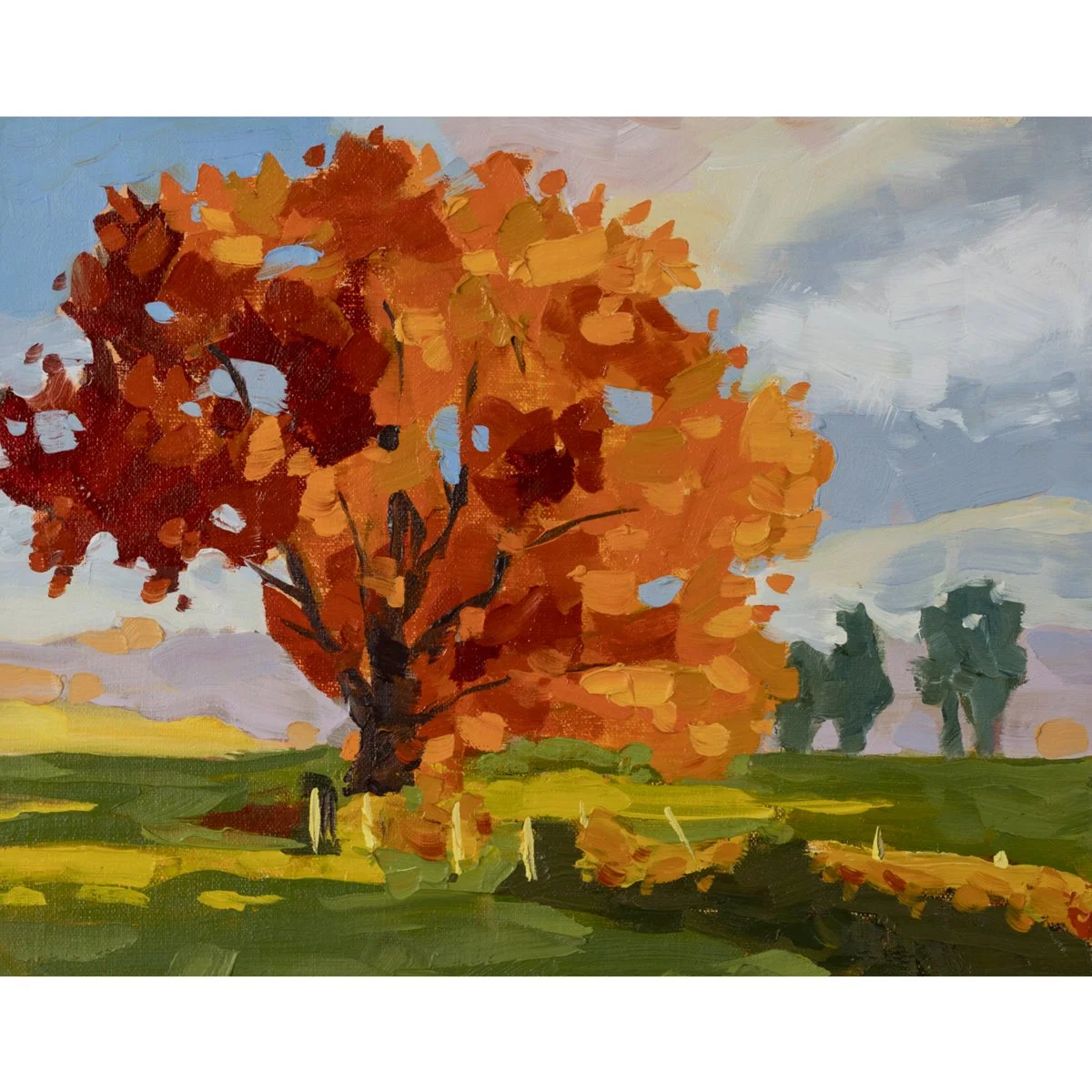 fall tree cropped.jpg