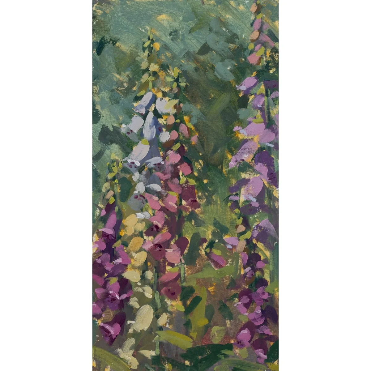 Foxglove 2.jpg