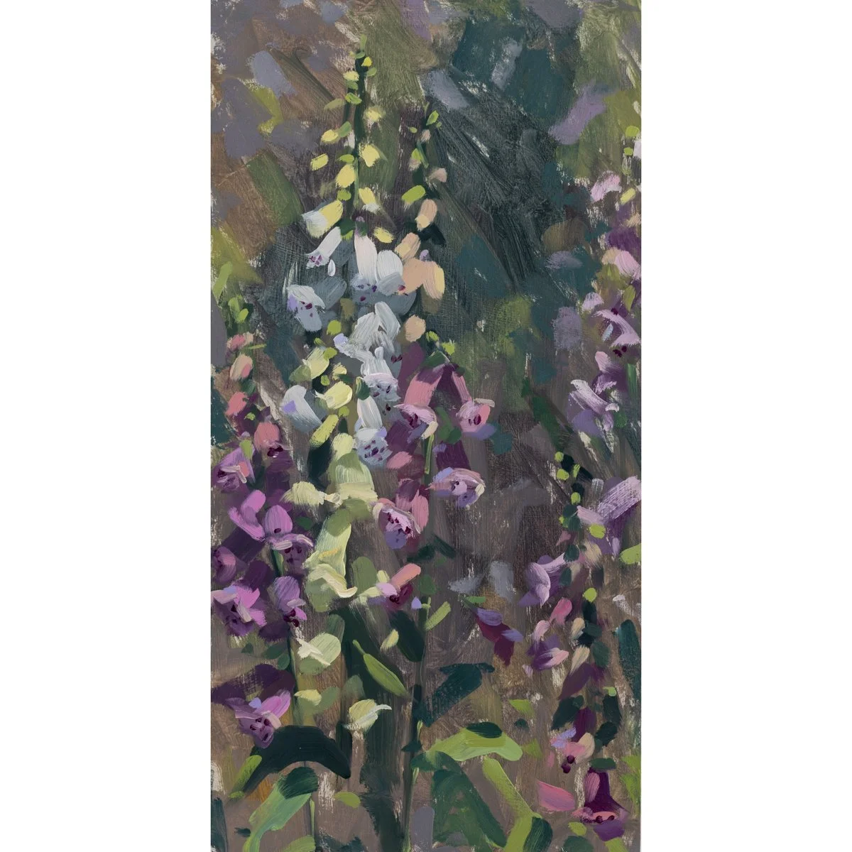 Foxglove 1.jpg