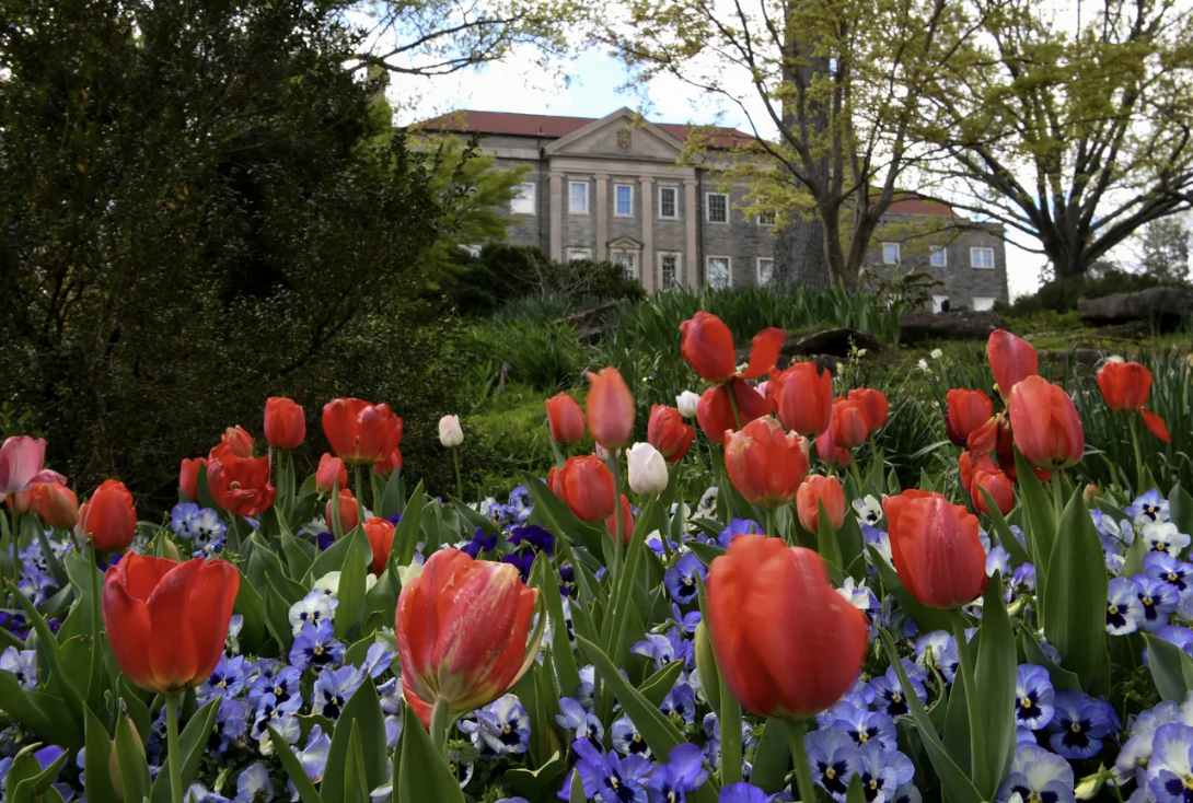 Music City's most romantic spots this V-Day: Love, Nashville style