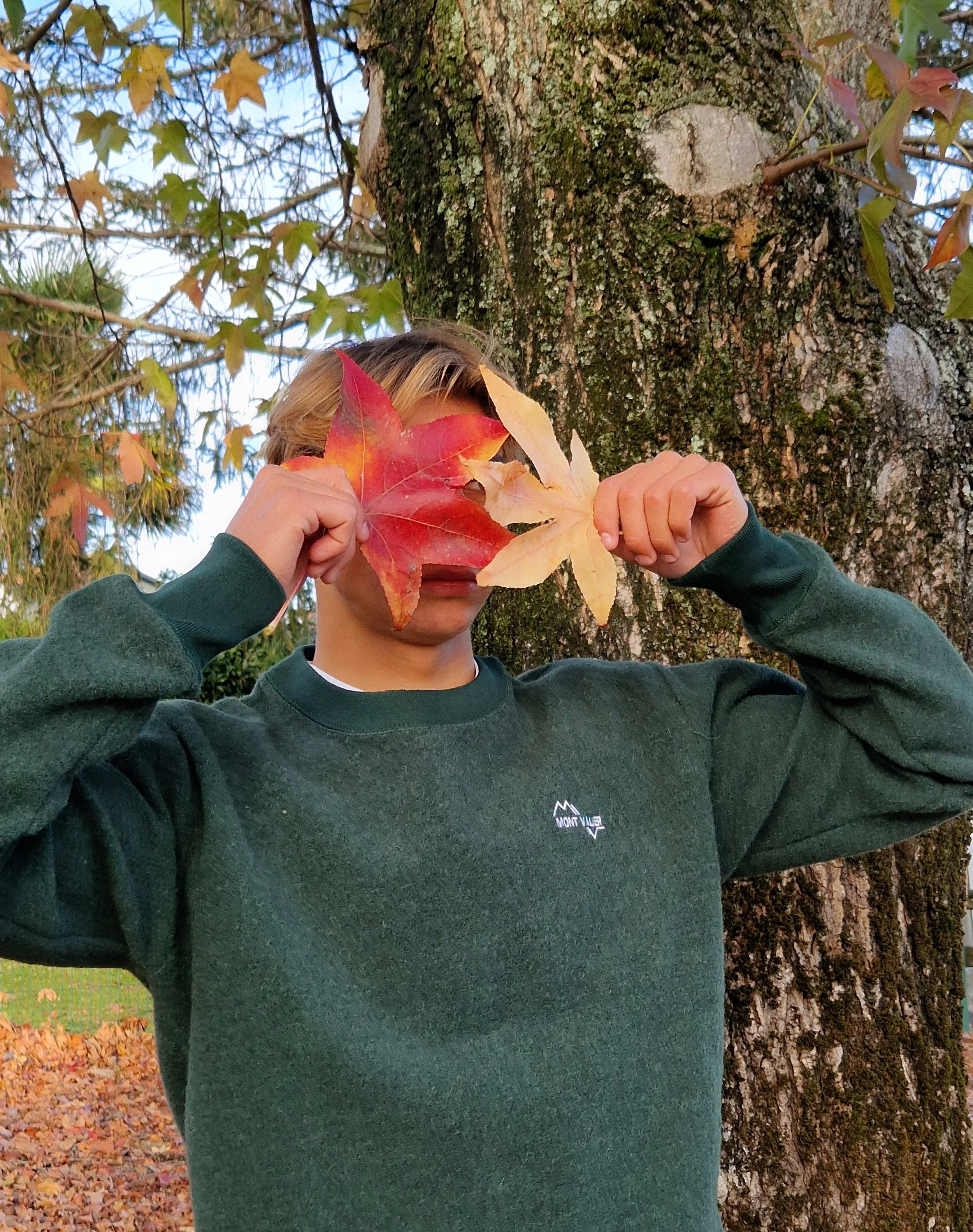 Sweat mixte MONTAIGU Ecru en laine