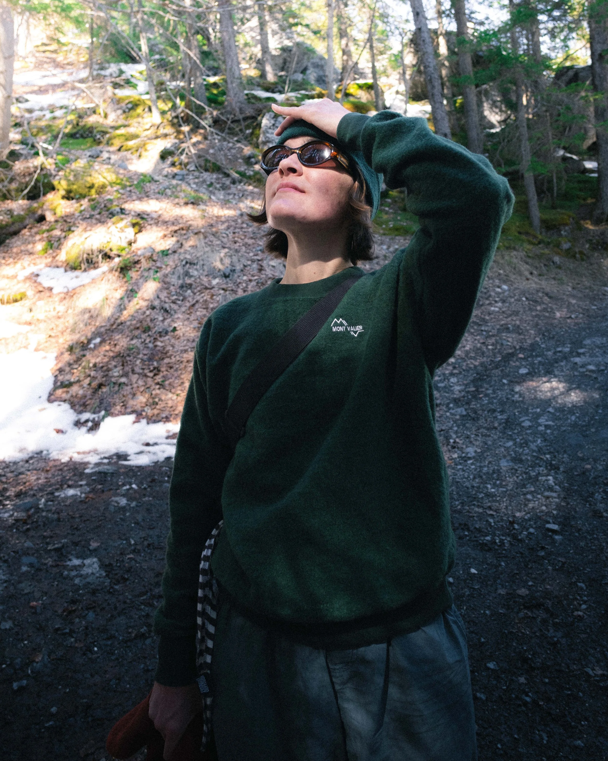 chamonix montaigu vert 2.jpg