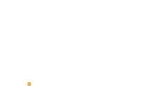 Stretch Insights