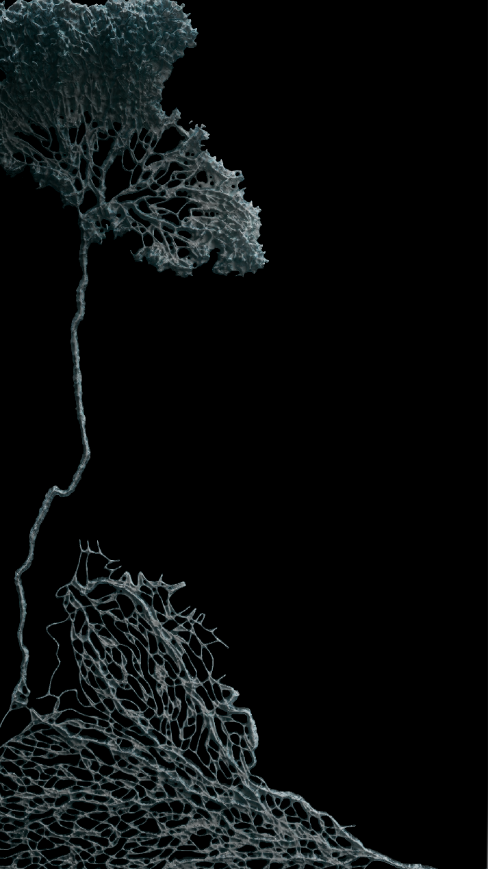 afbeelding(113).png