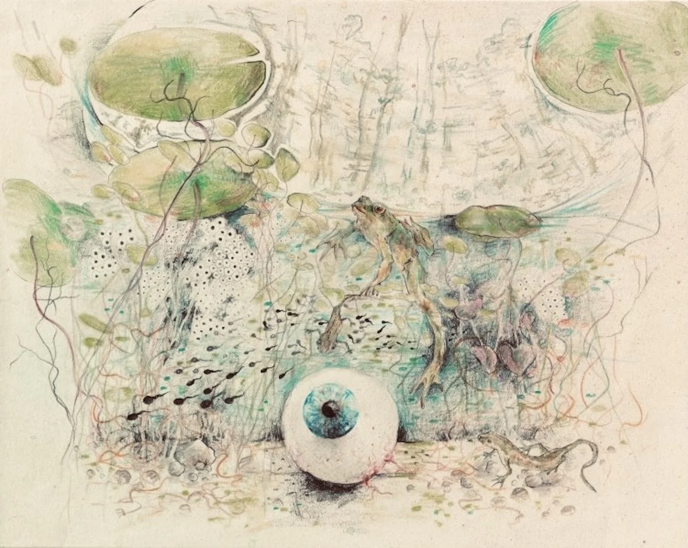 Frog Prince, a variation