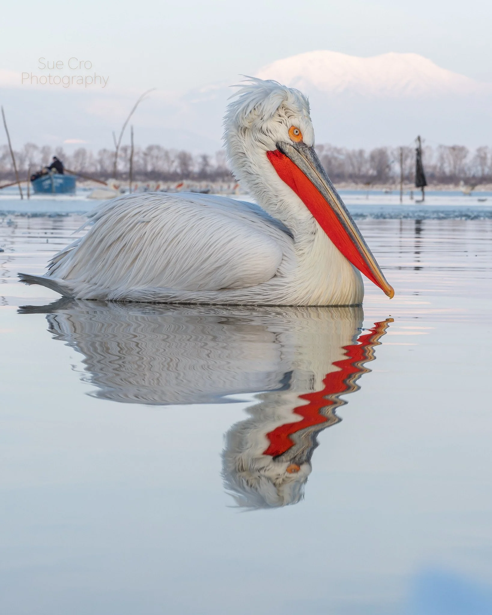 At lake Kerkini