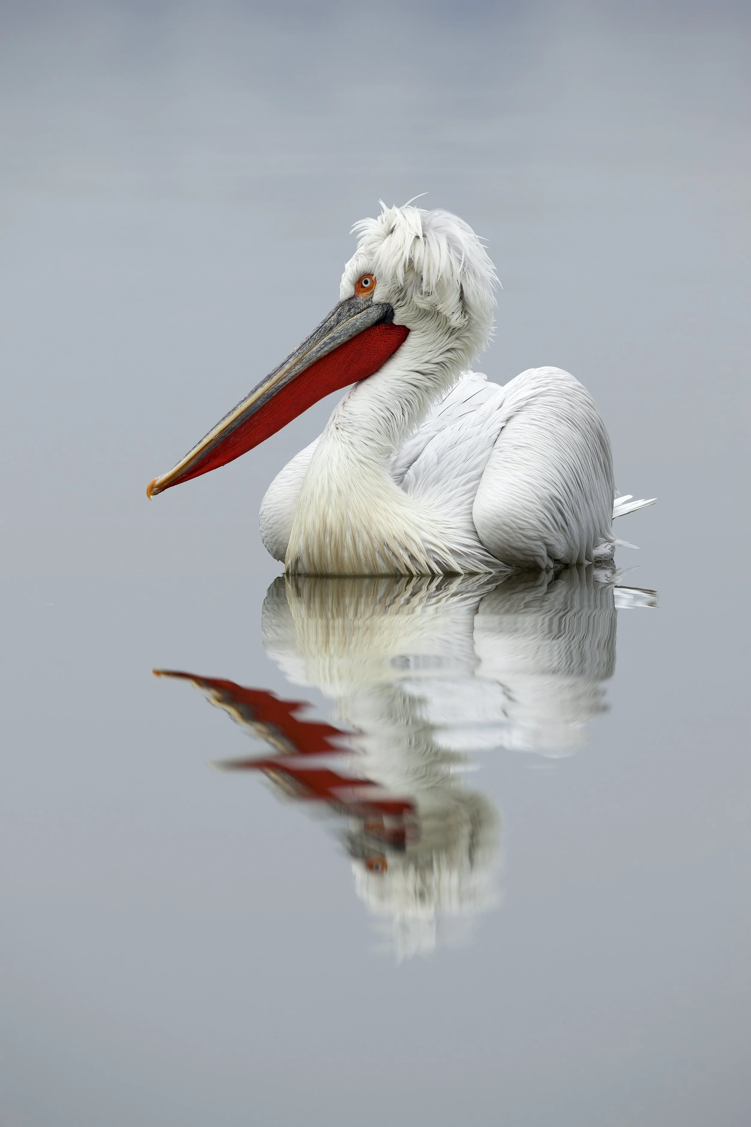 Foto: Cor Visser