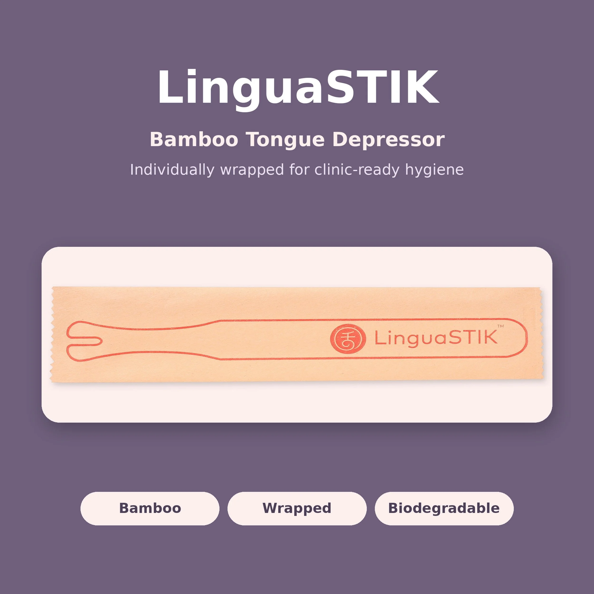 linguastik_1_hero.jpg