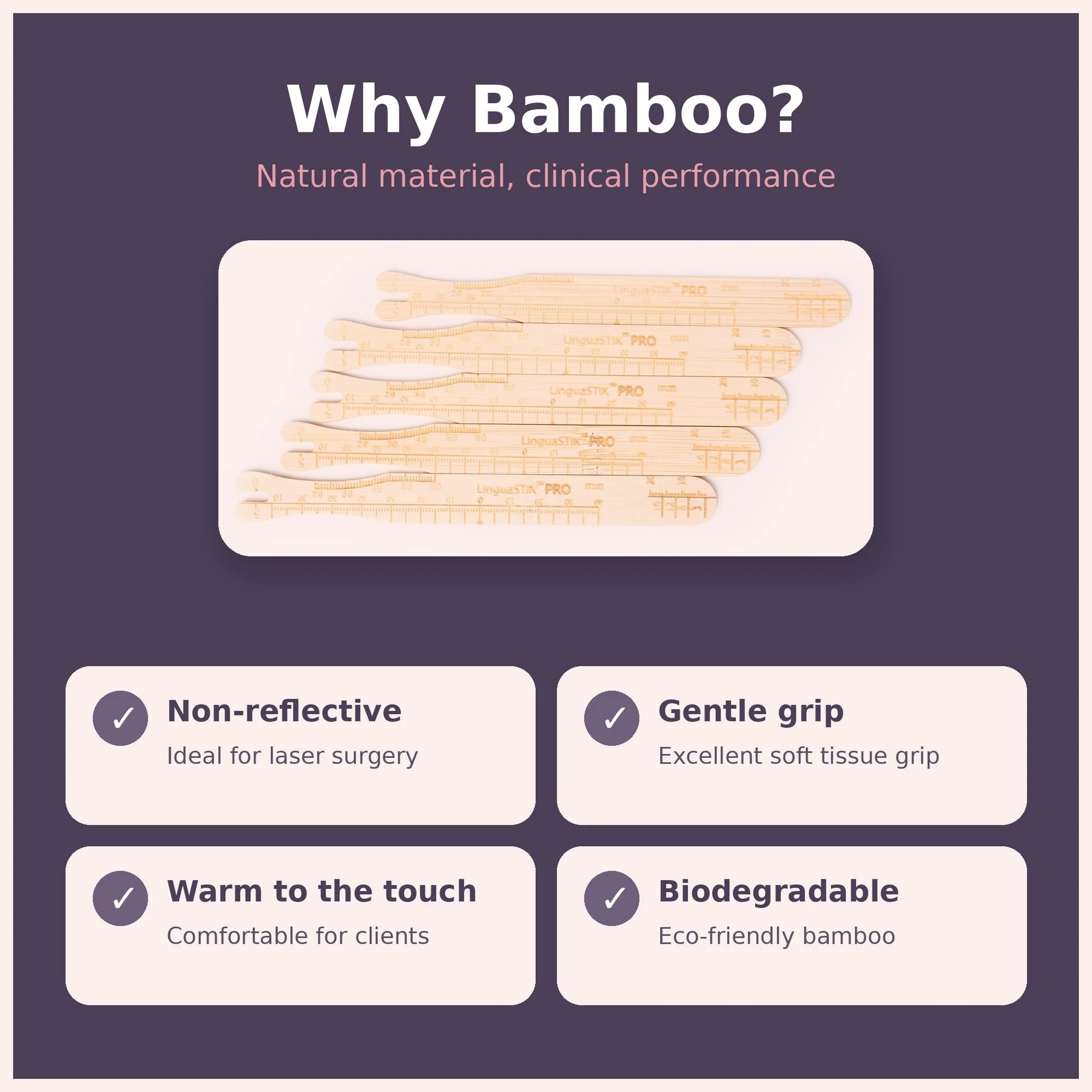 linguastikpro_3_bamboo_border.jpg