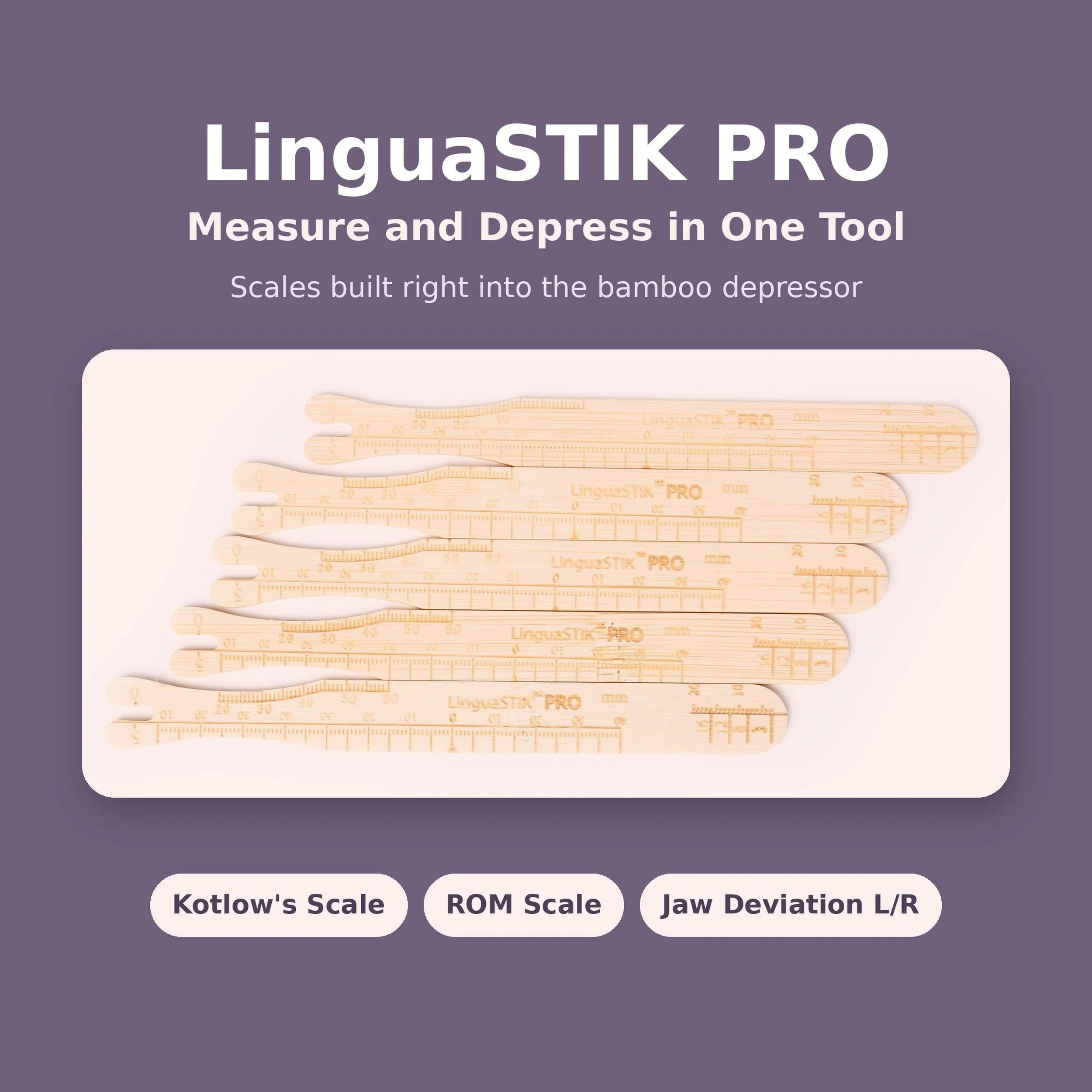 linguastikpro_1_hero_noframe.jpg