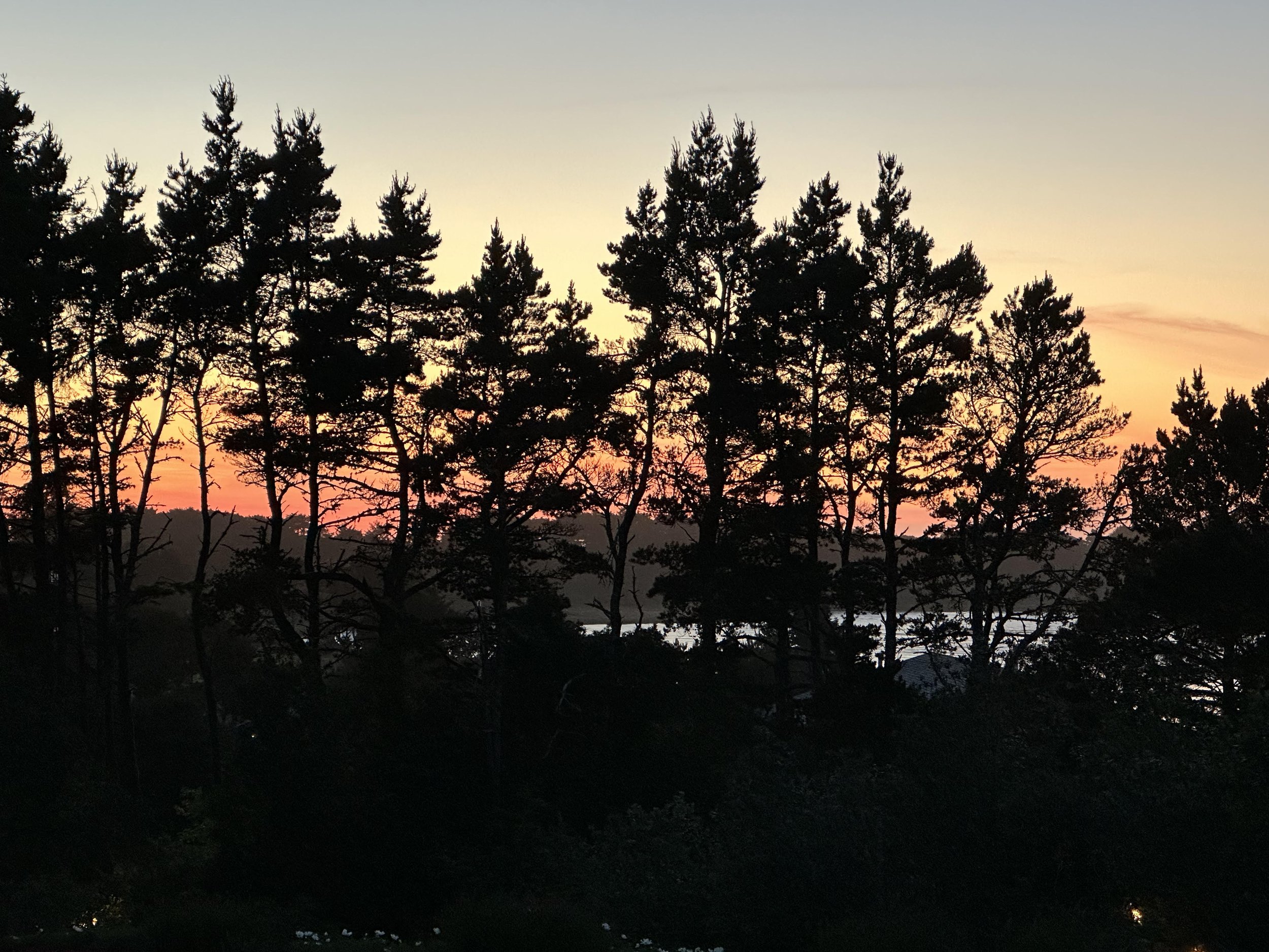 The Bayhouse At Salishan Sunset