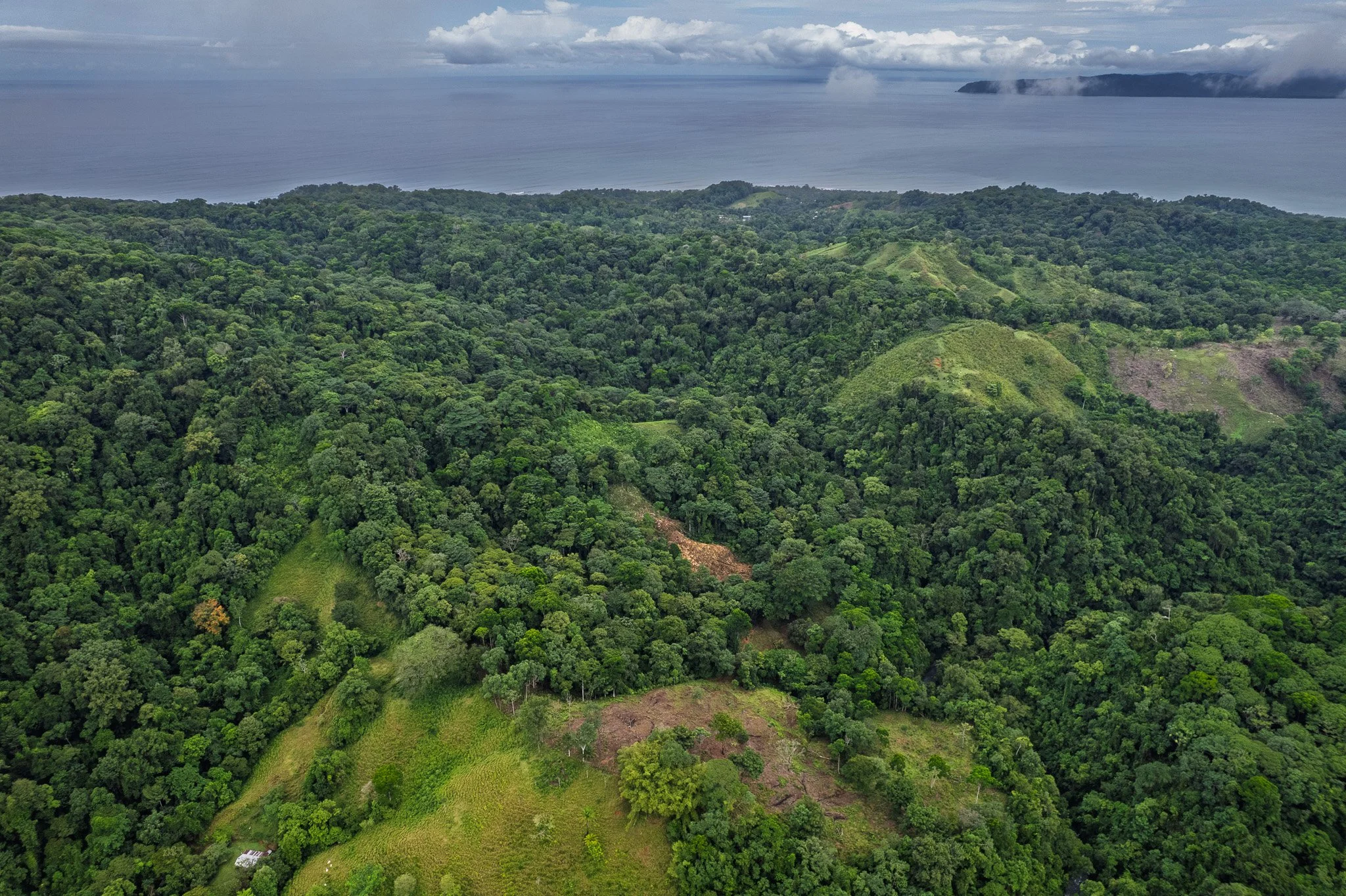 DJI_0304.jpg