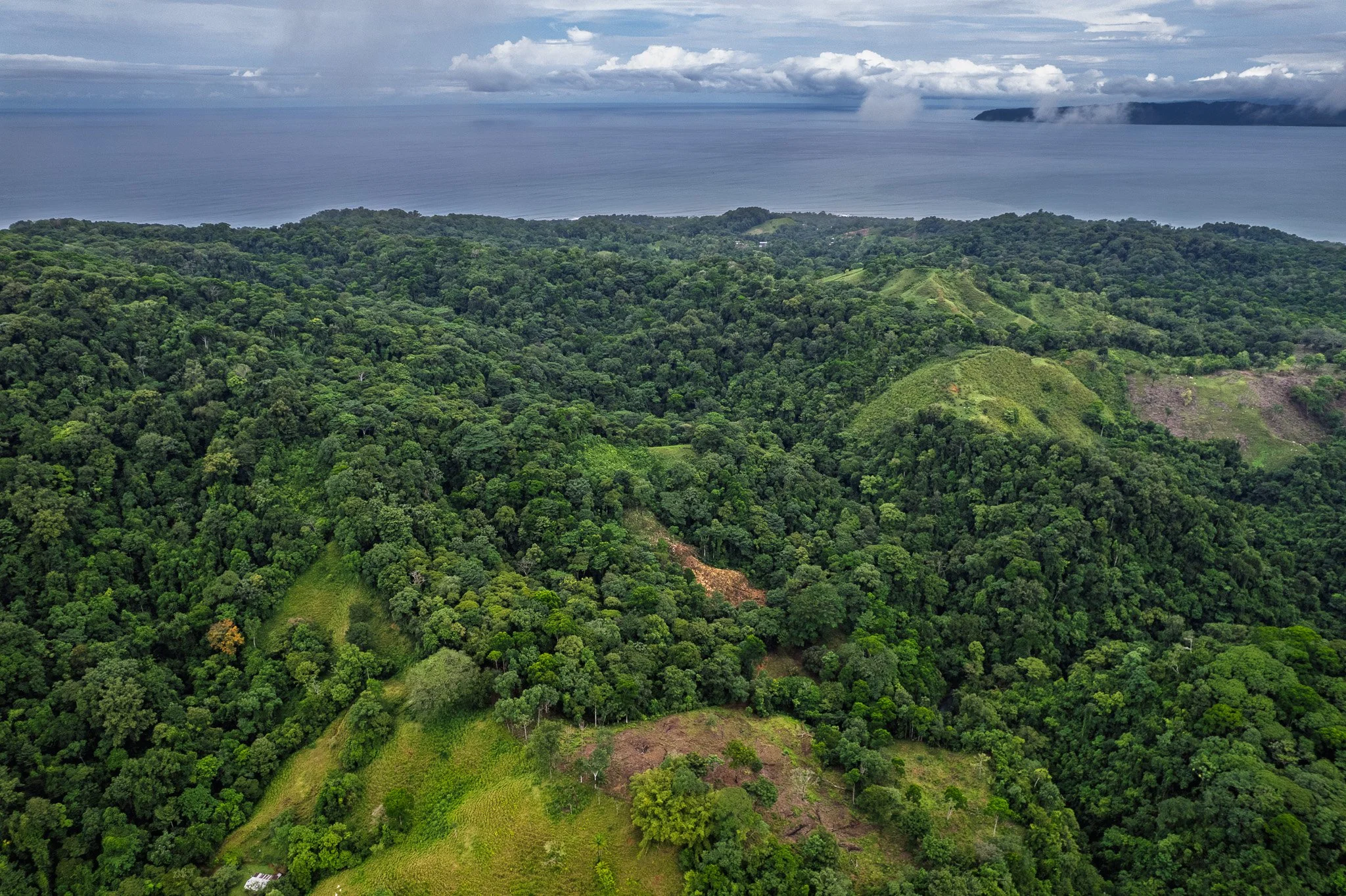 DJI_0306.jpg