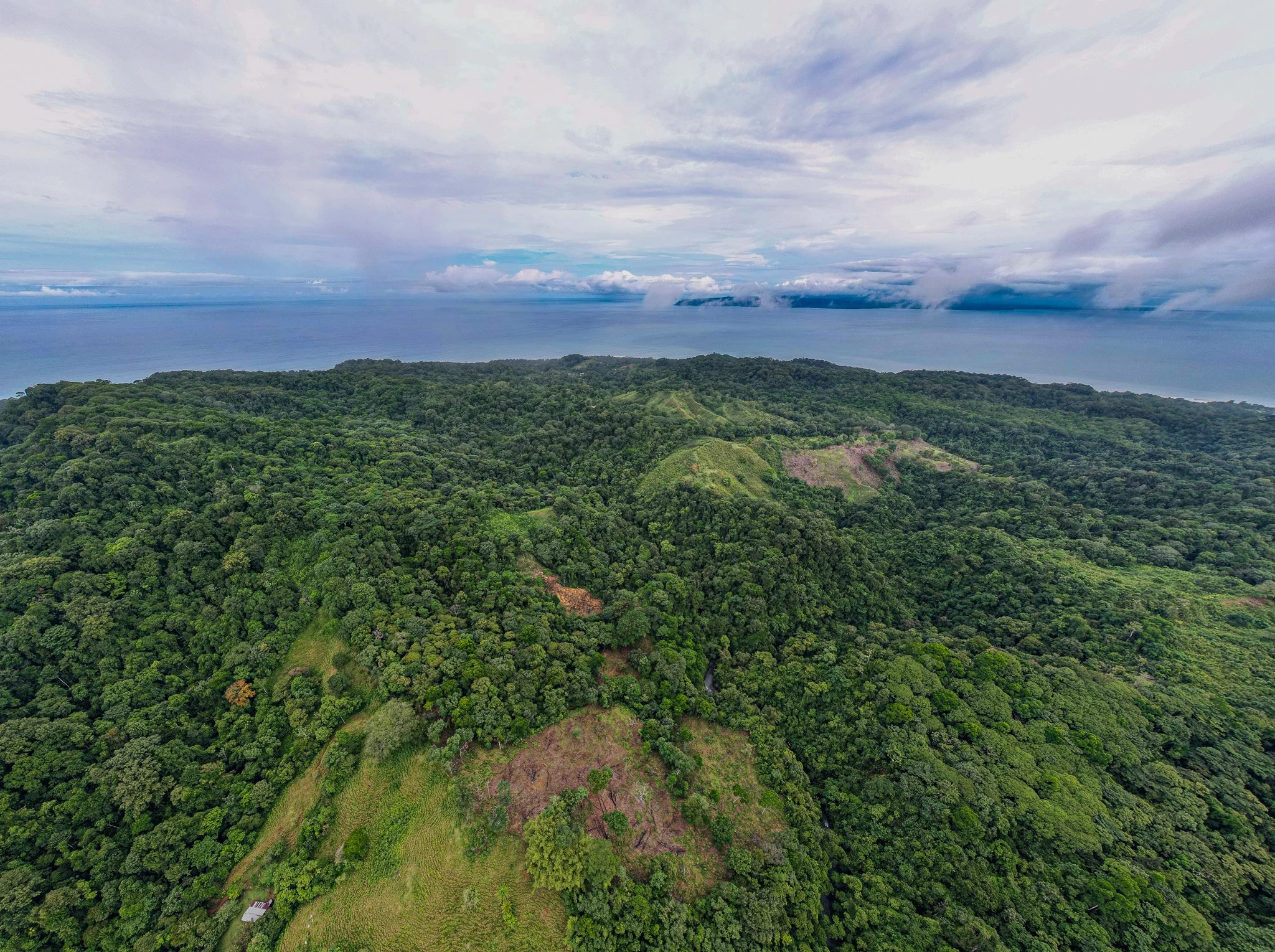 DJI_0308.jpg