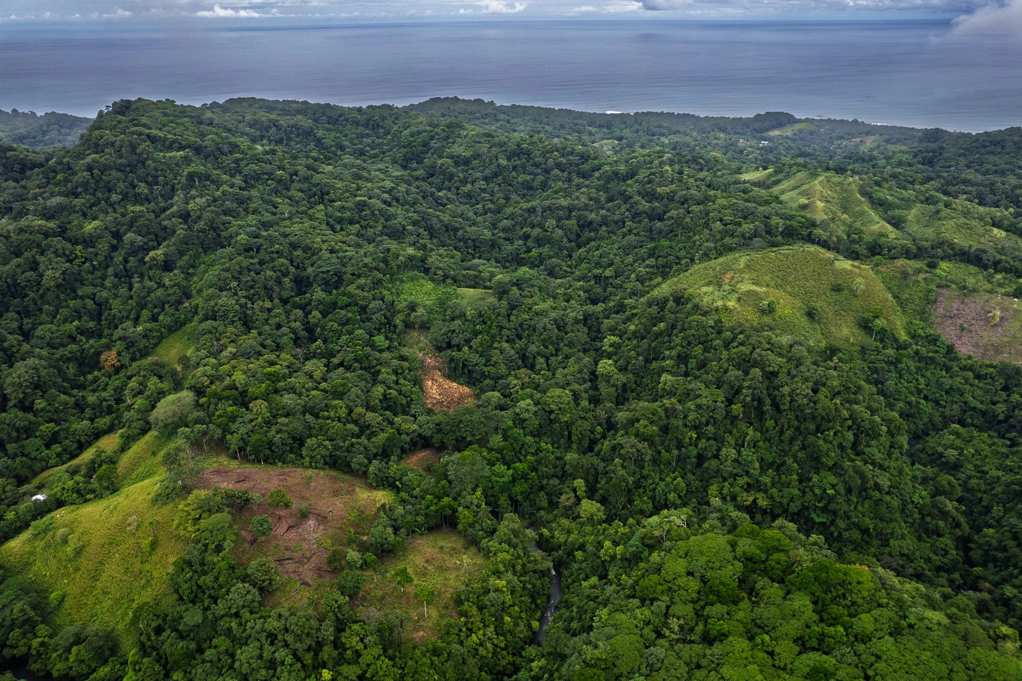 DJI_0310.jpg