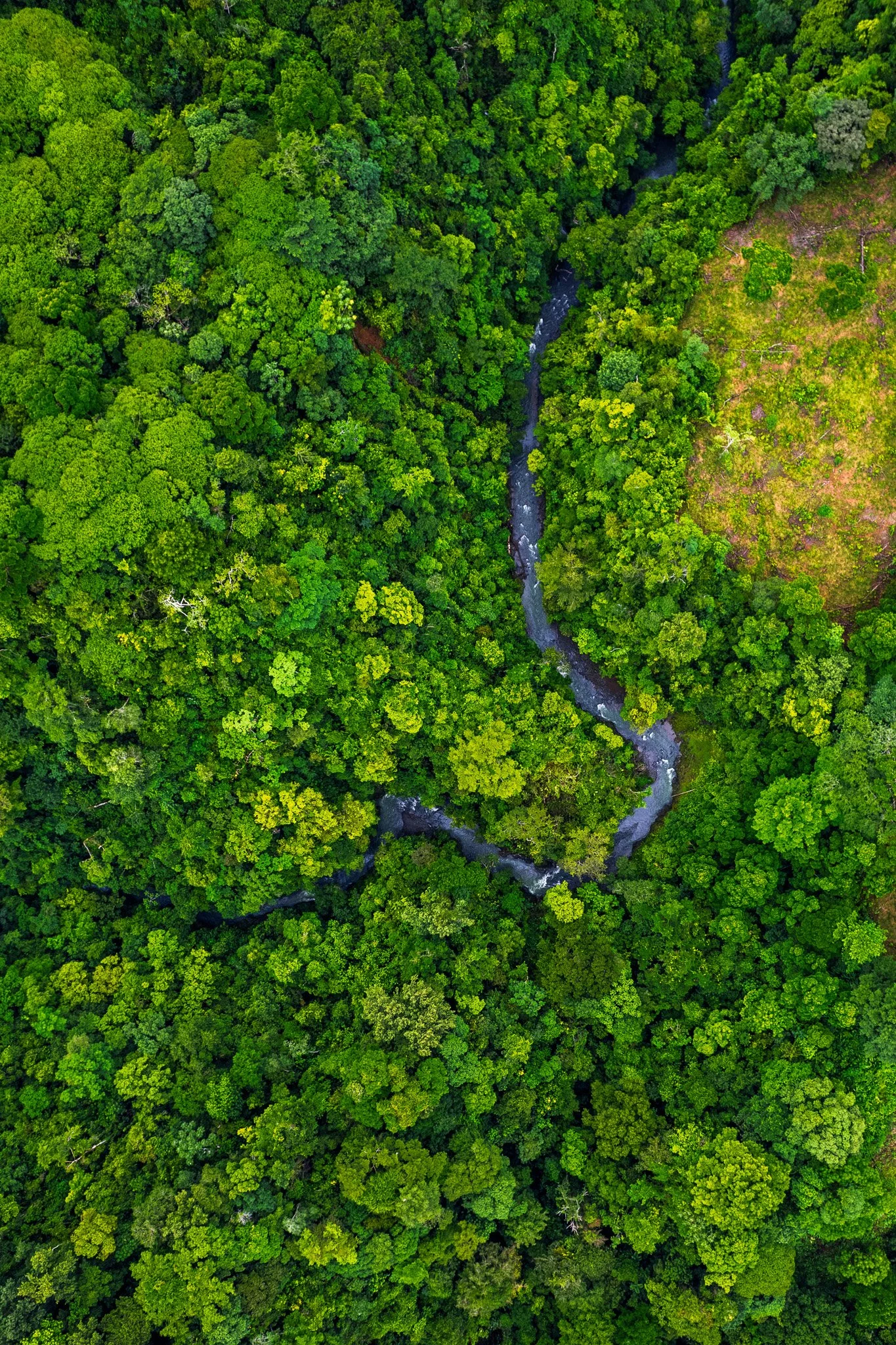 DJI_0315.jpg