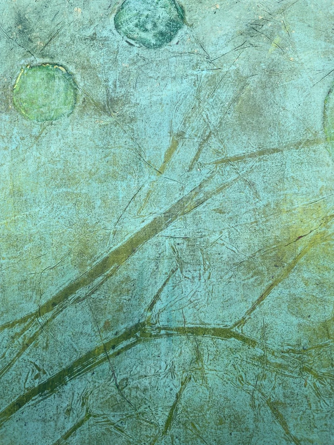 wasabi moon close3.JPG