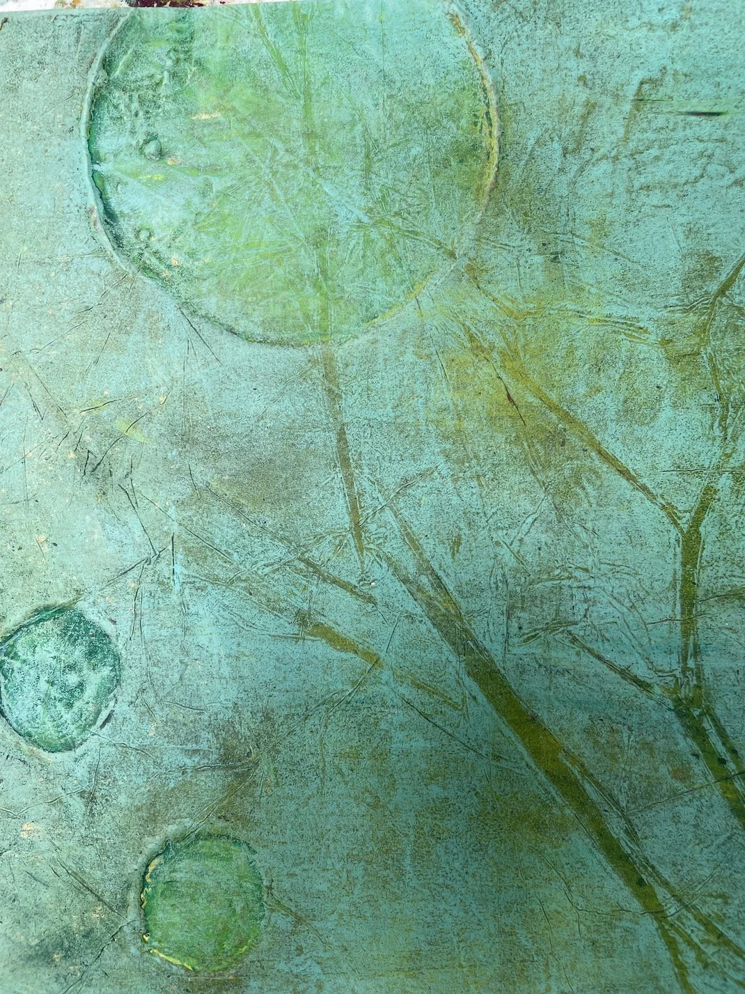 wasabi moon close.JPG