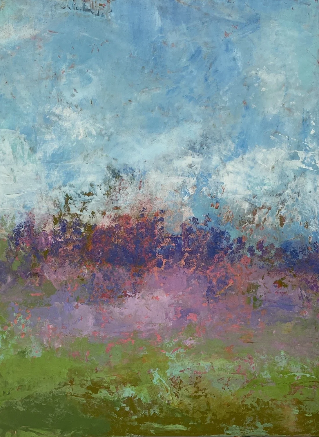 Texas Bluebonnets and Verbena1.JPG