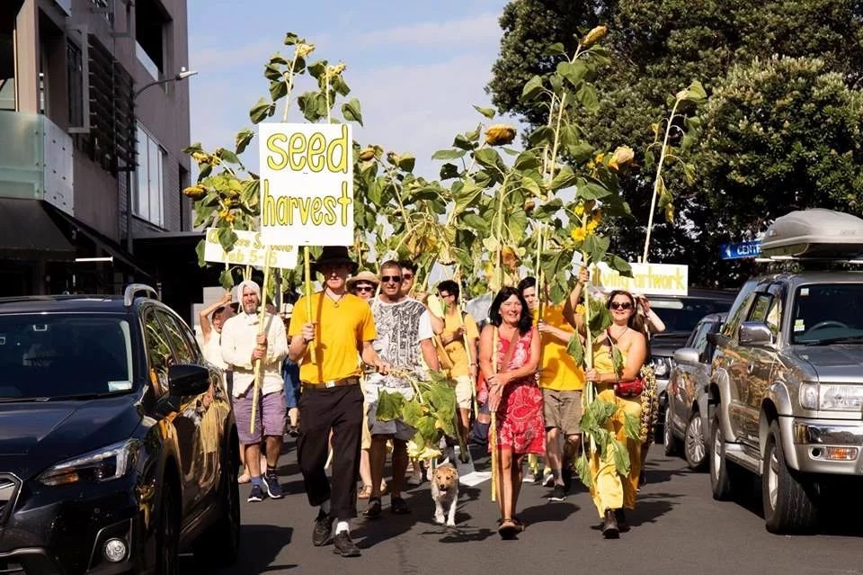 Sunflower Hīkoi
