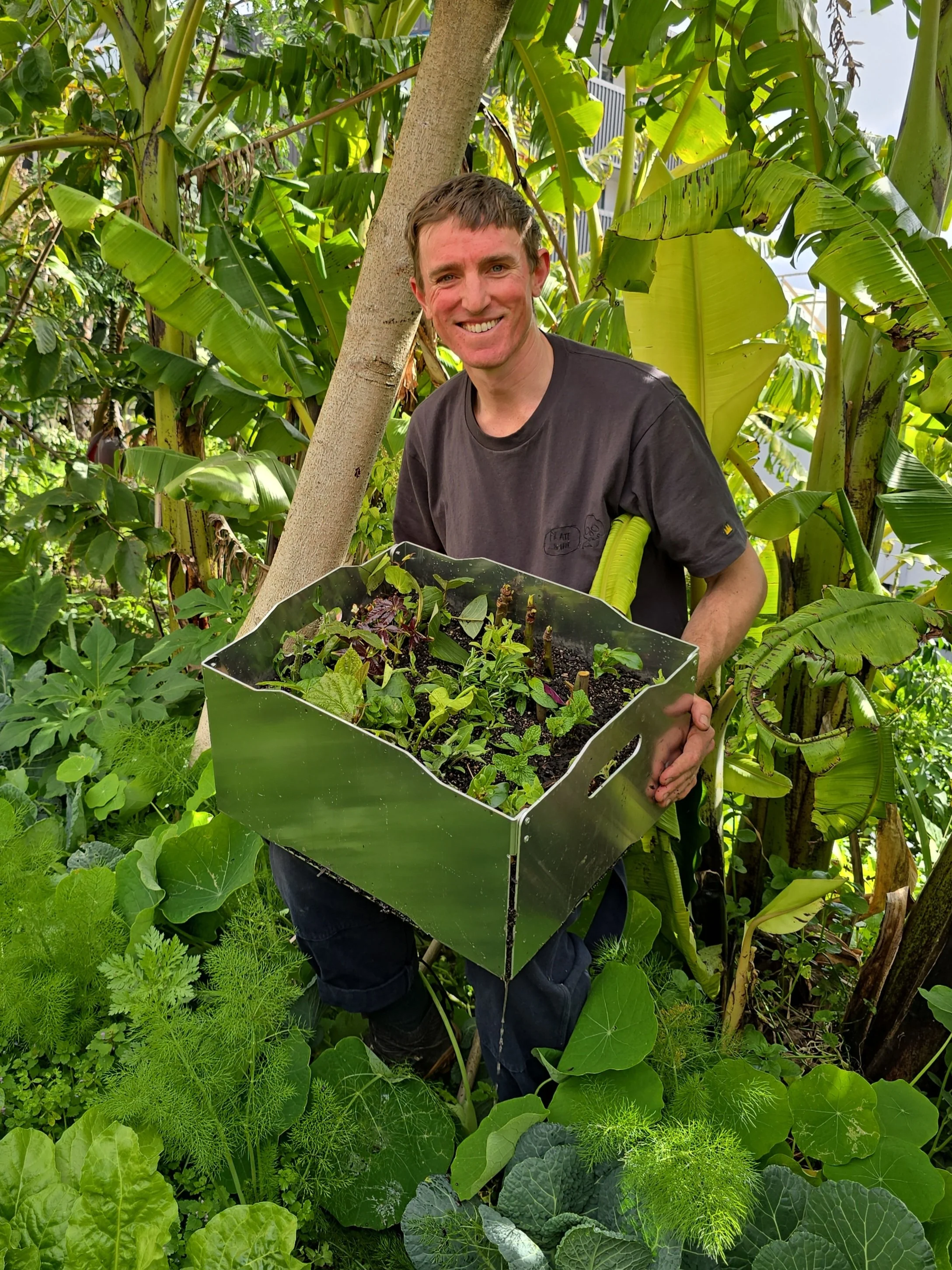 Levi Brinsdon-Hall, Delicious Revolution Founder