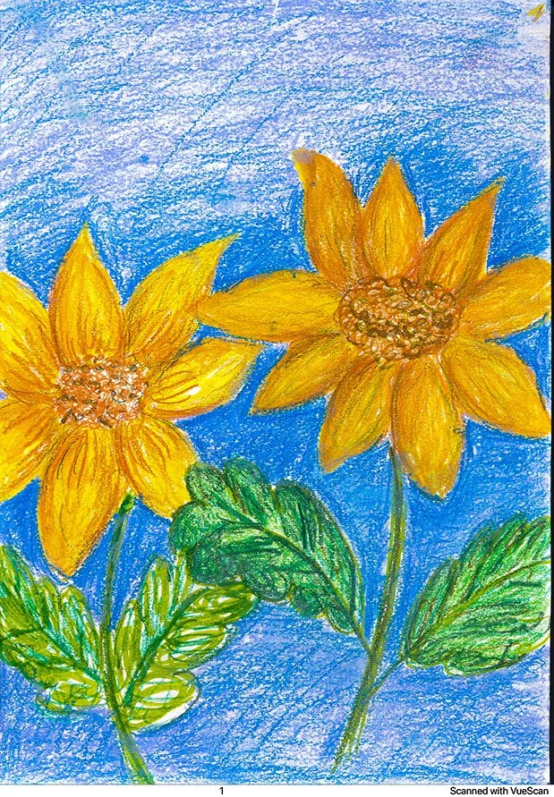 Greening the City: Launch Day