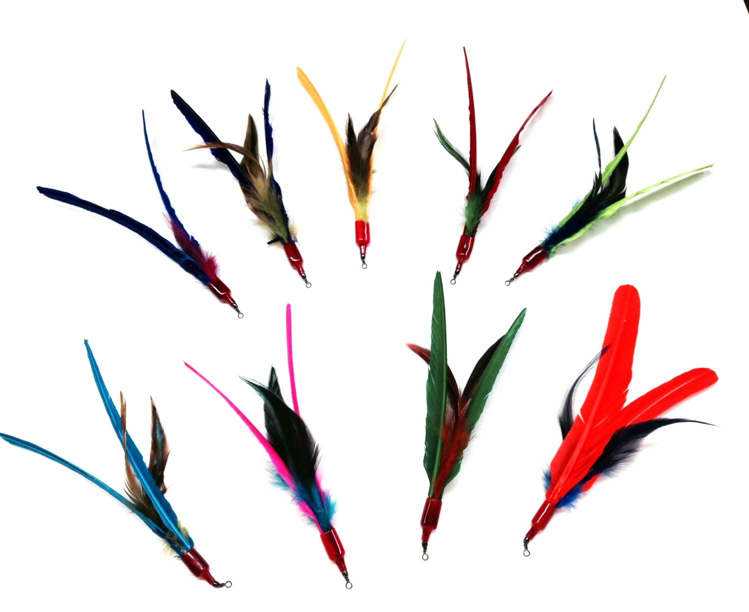 dabird4.jpg
