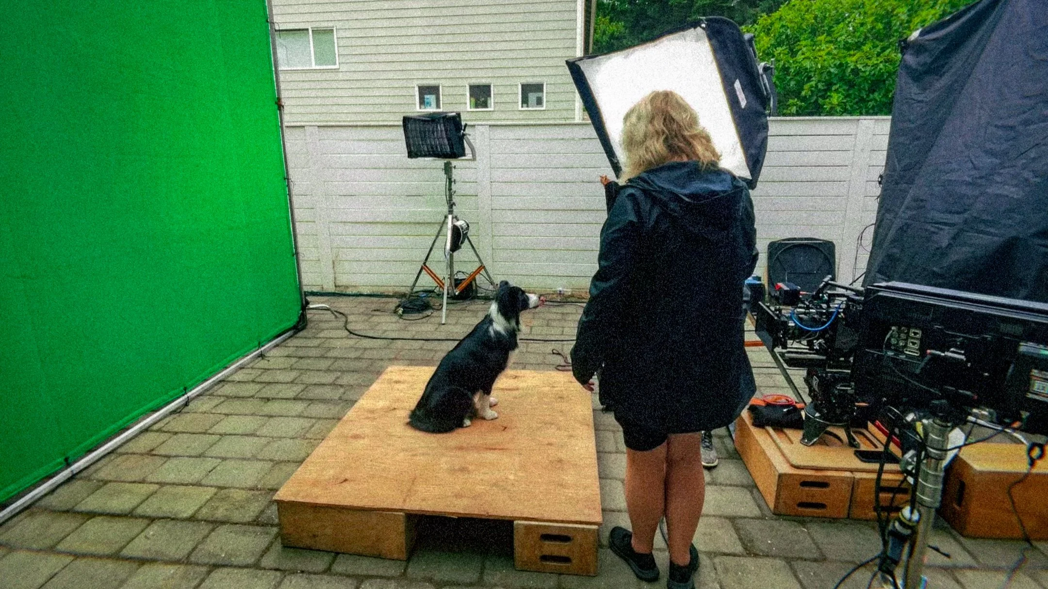 Purina BTS-Web-153.jpg