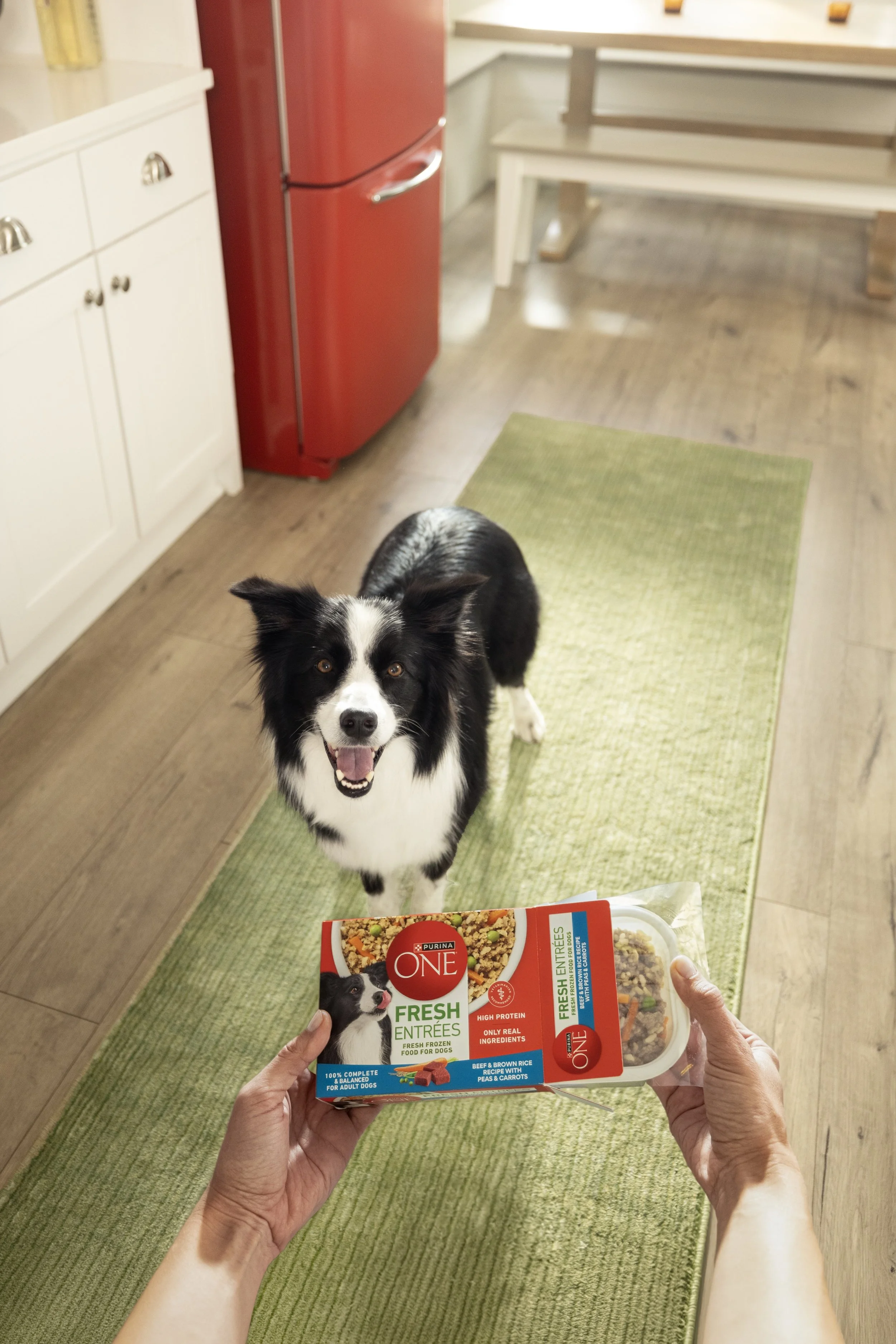ON08900_POV Dog and Product_2609.jpg