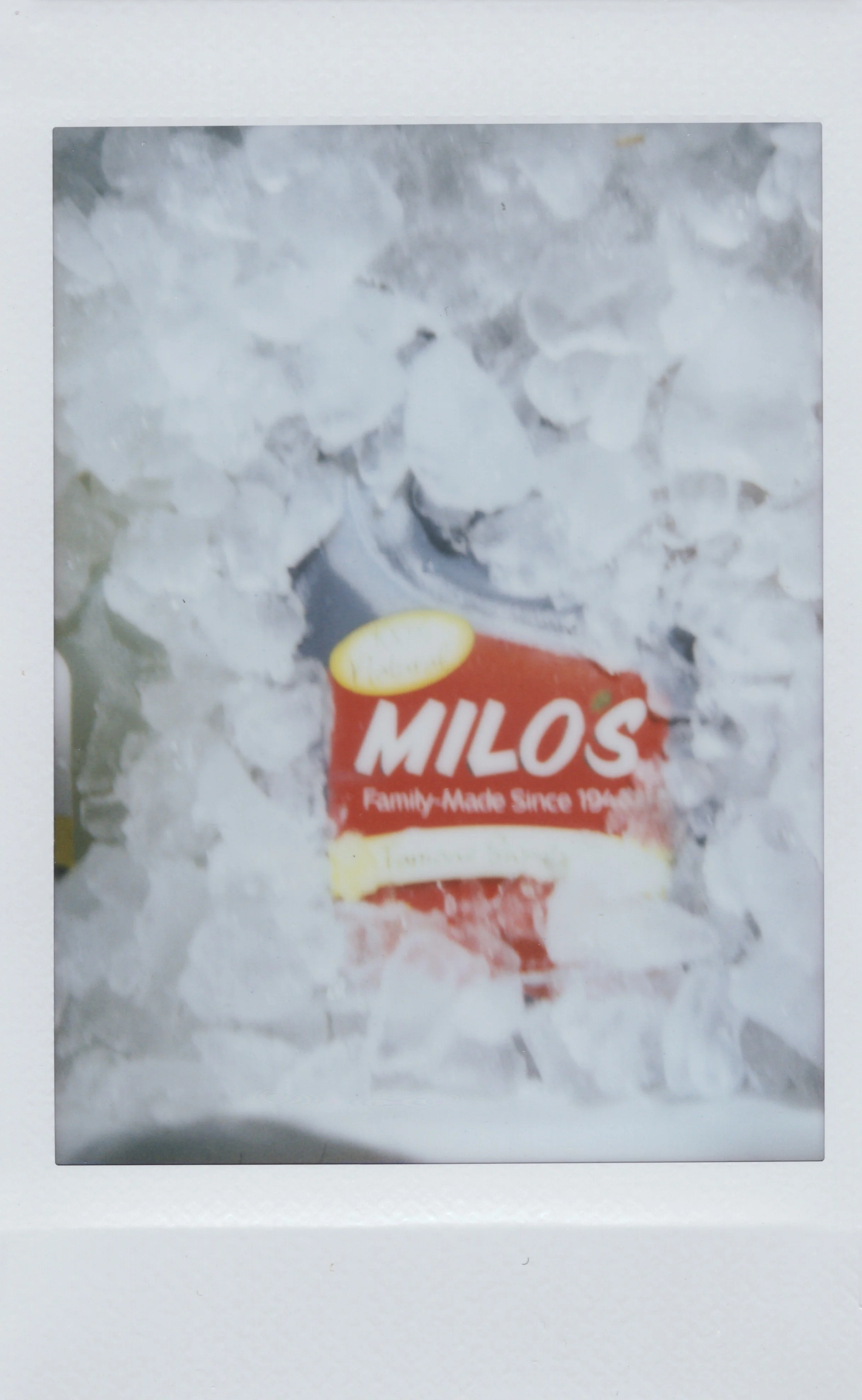 TastesLikeMilos49.jpg