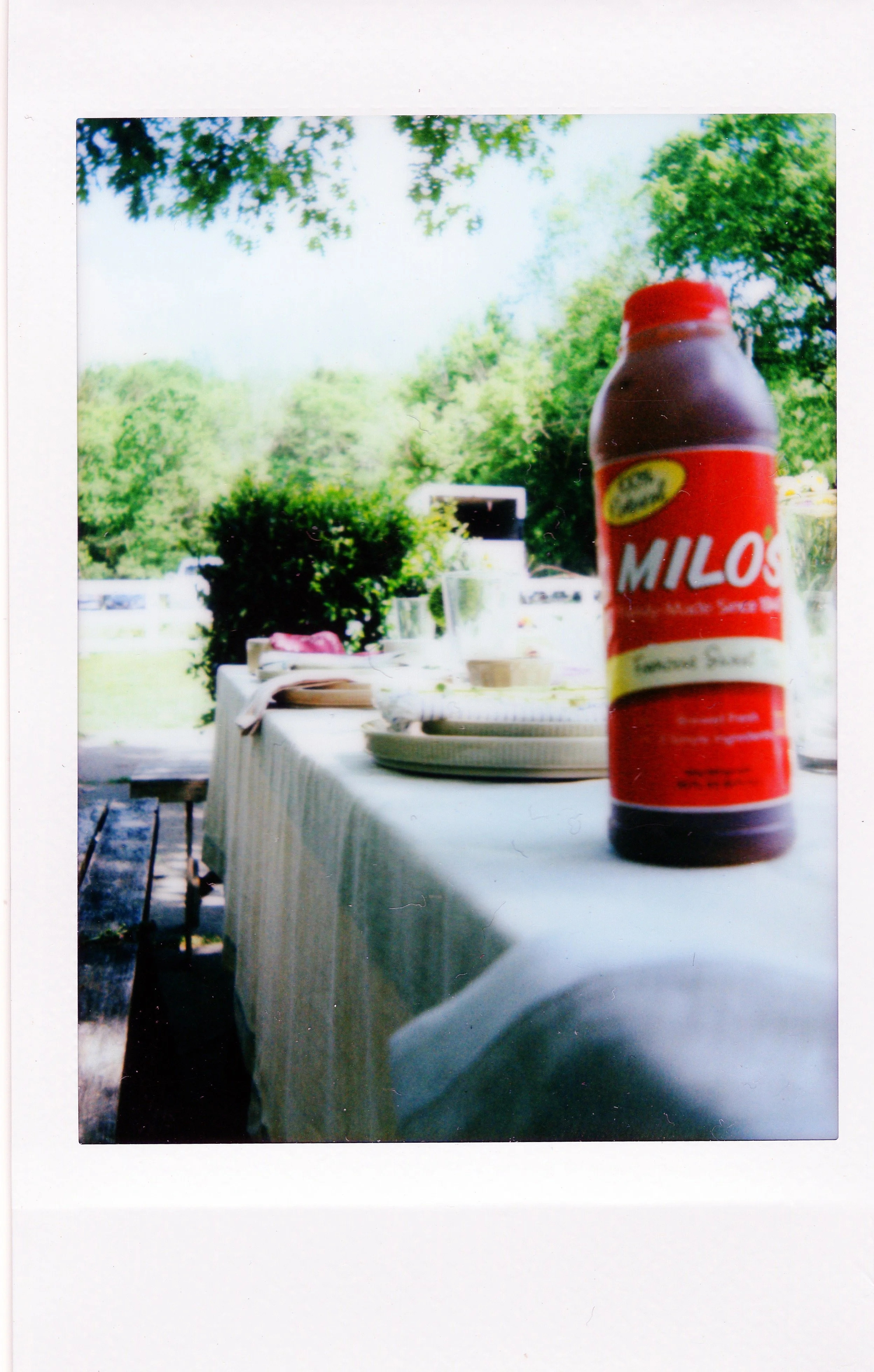 TastesLikeMilos25.jpg