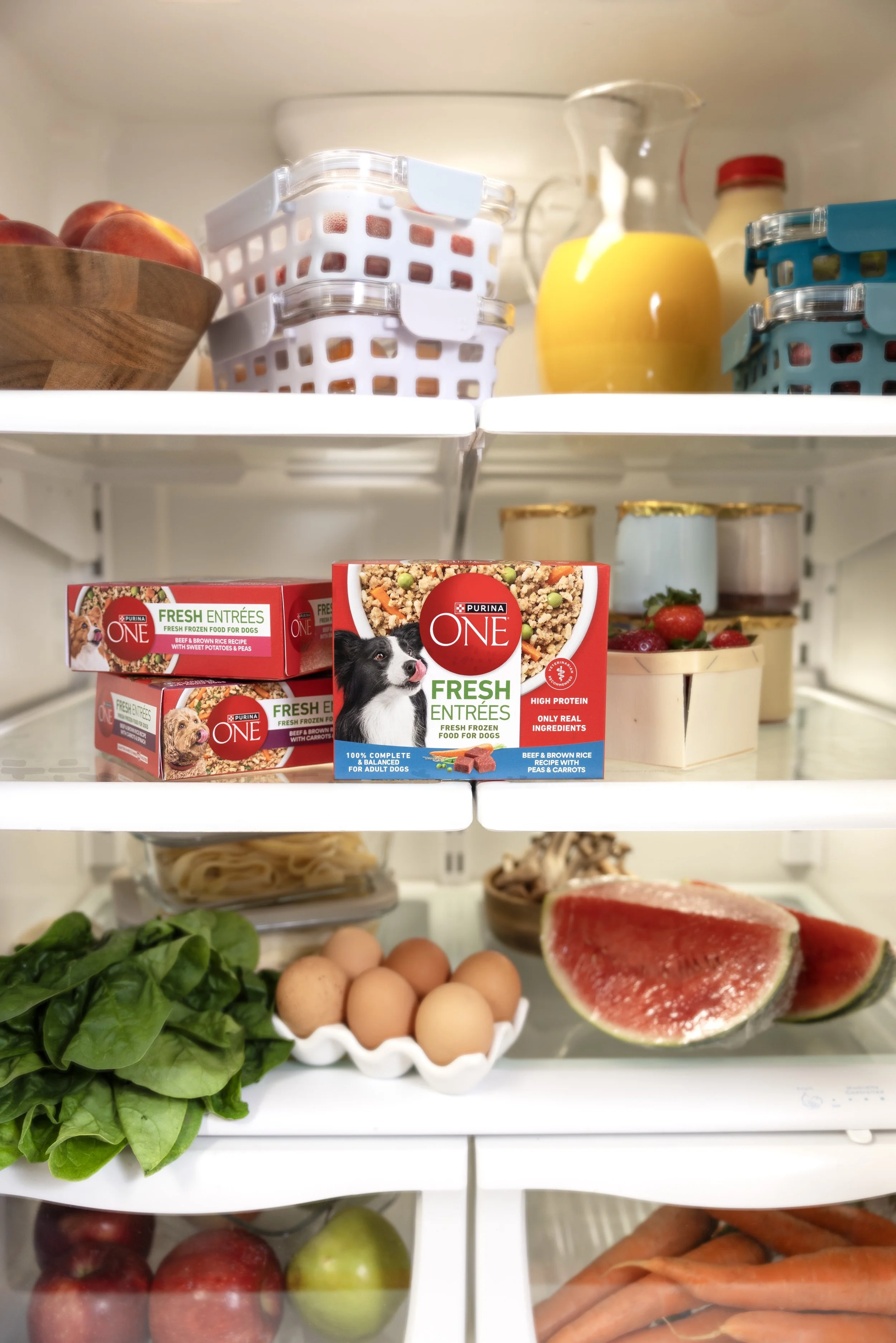 ON08900_Packages in Fridge_3065.jpg