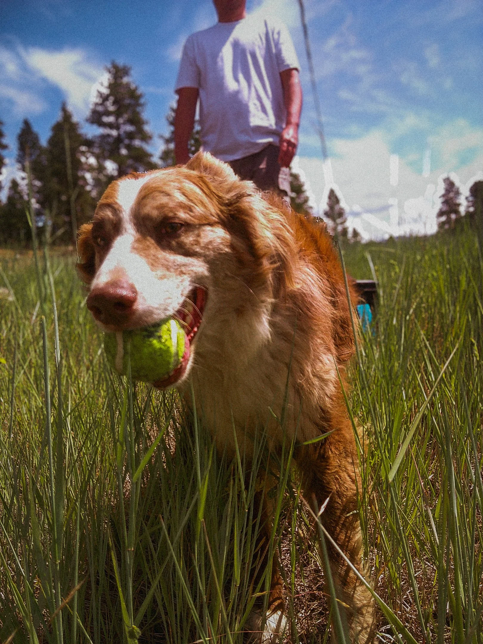 Purina BTS-Web-12.jpg