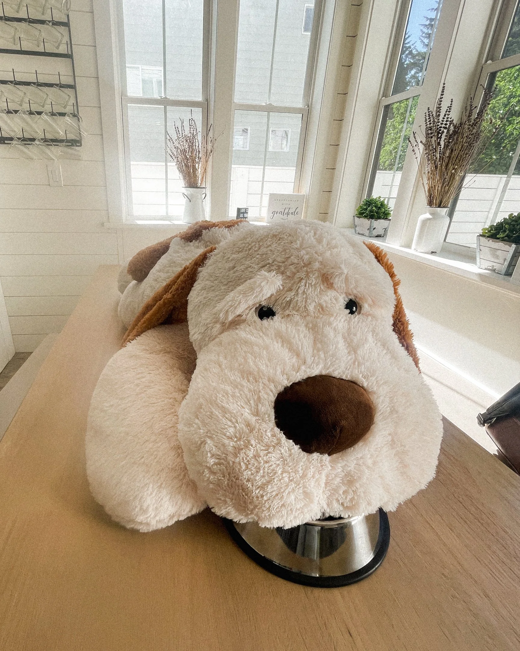 Purina BTS-Web-48.jpg