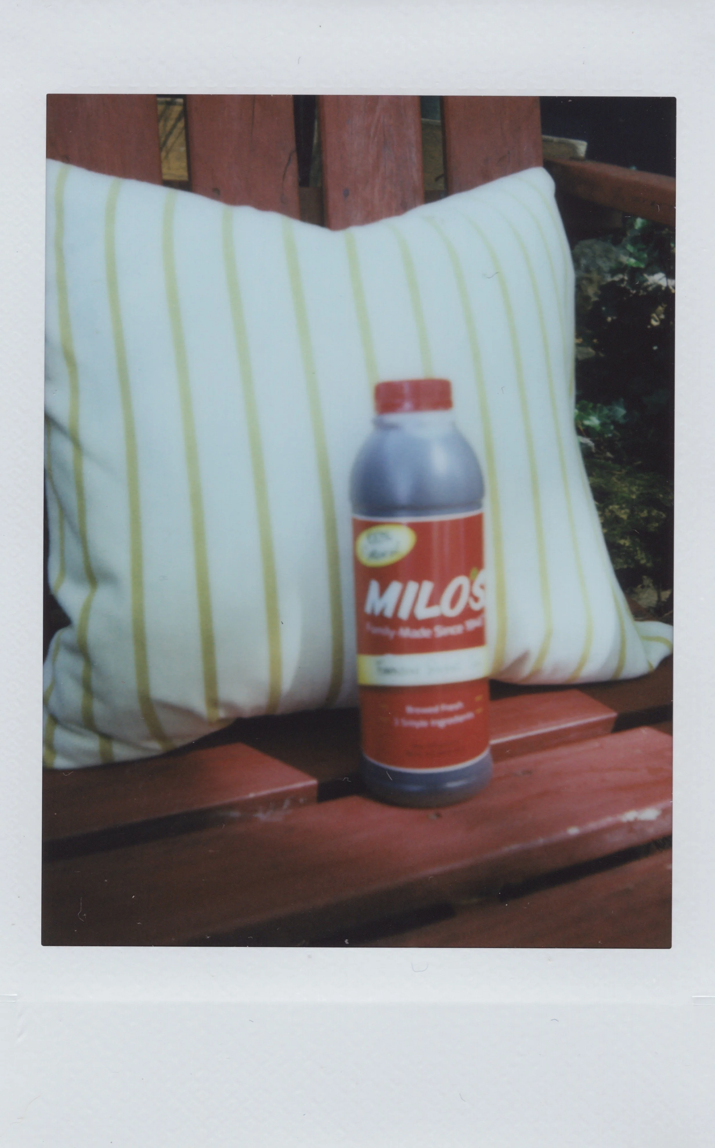TastesLikeMilos41.jpg