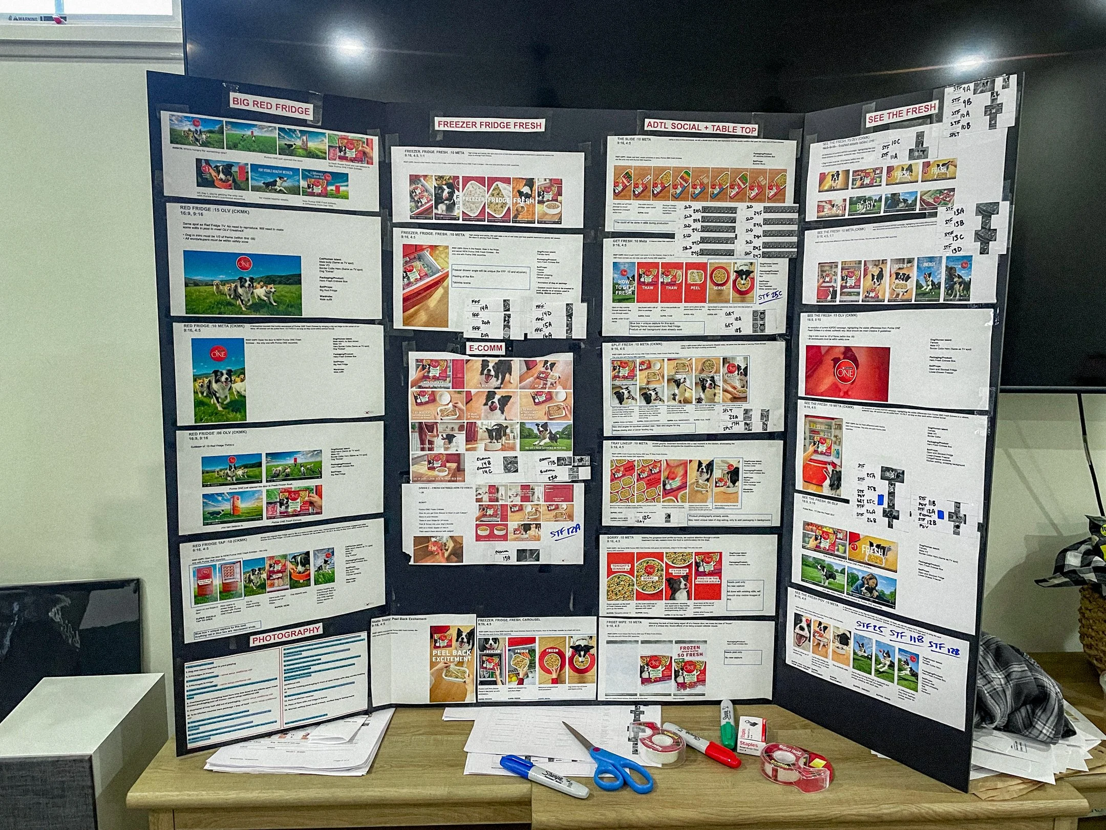 Purina BTS-Web-162.jpg