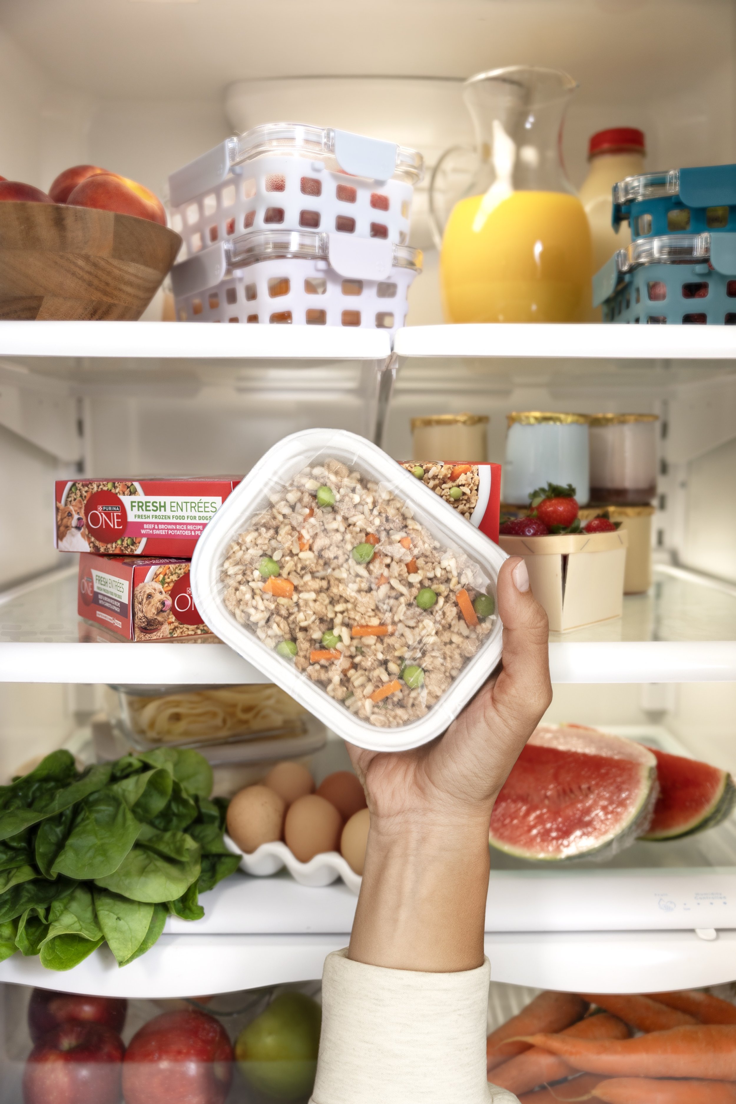 ON08900_Packages in Fridge_3065 3.jpg