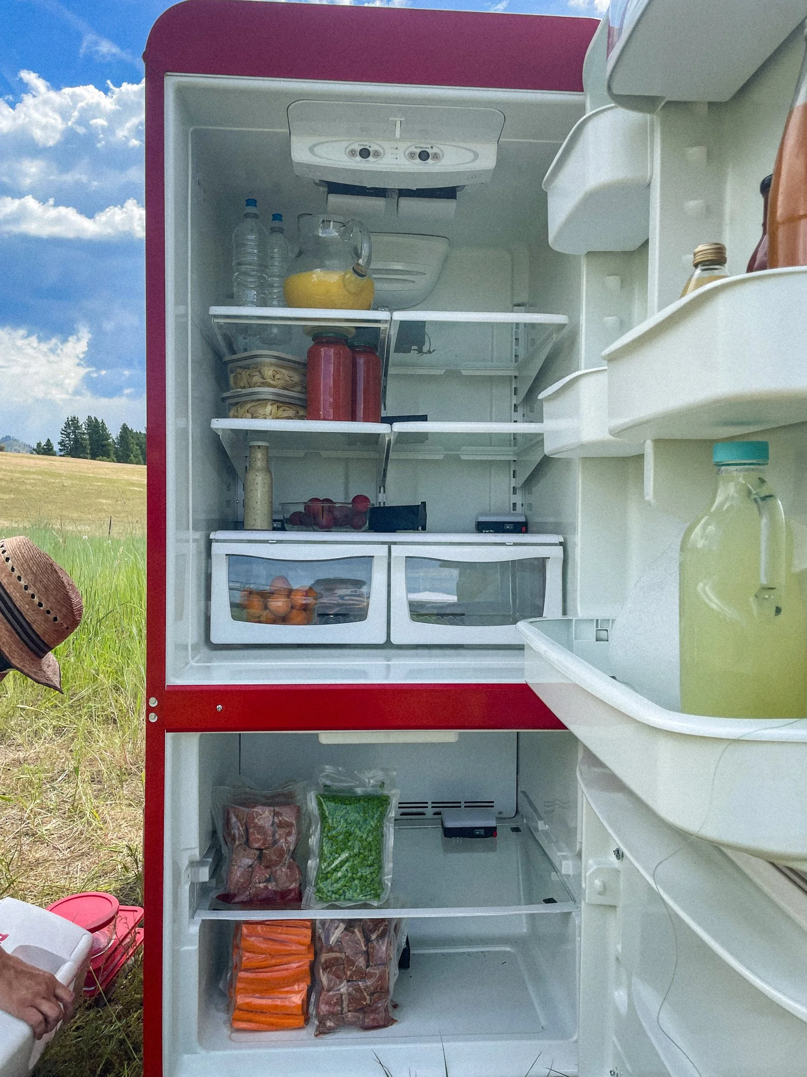 Purina BTS-Web-78.jpg