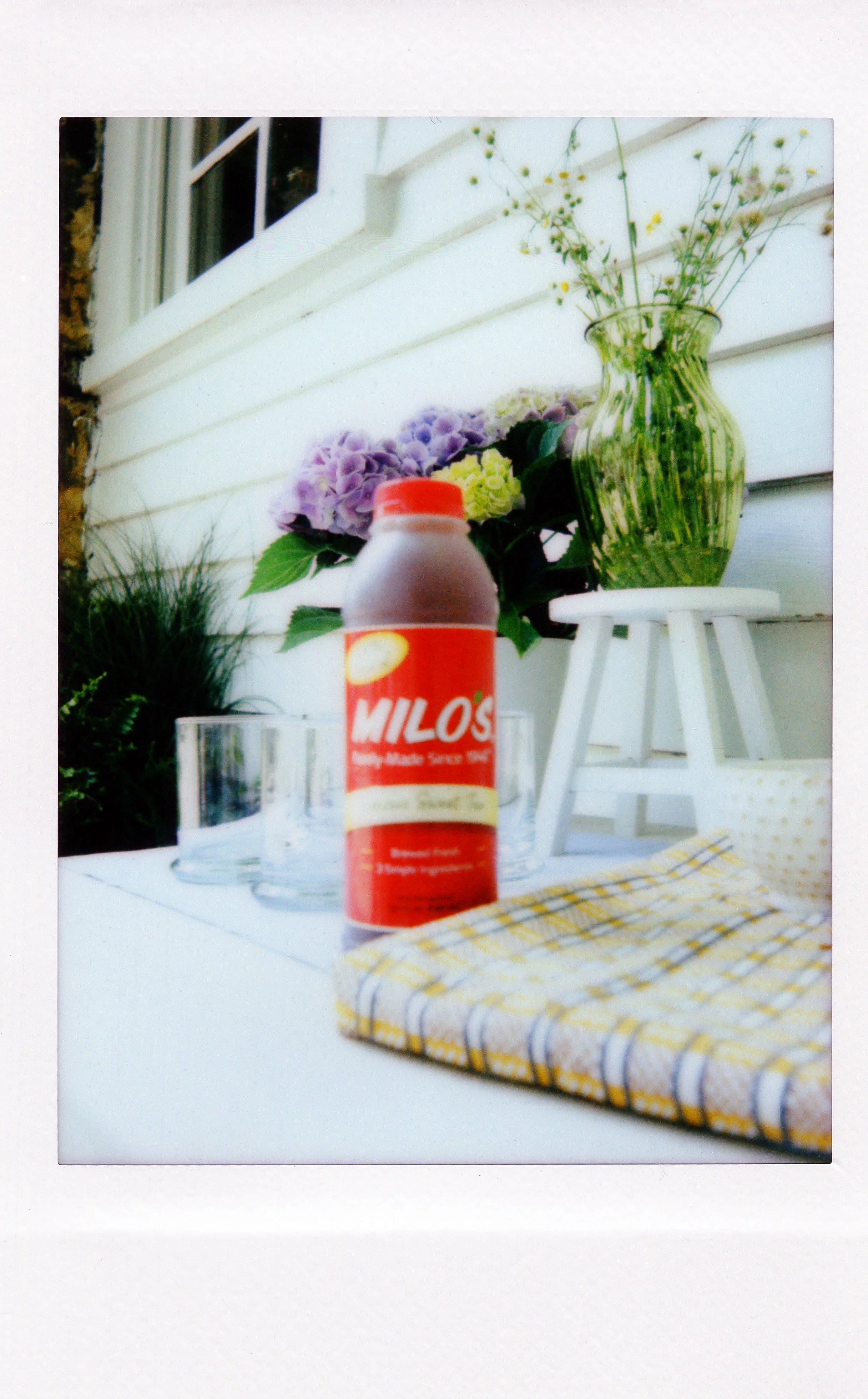 TastesLikeMilos35.jpg