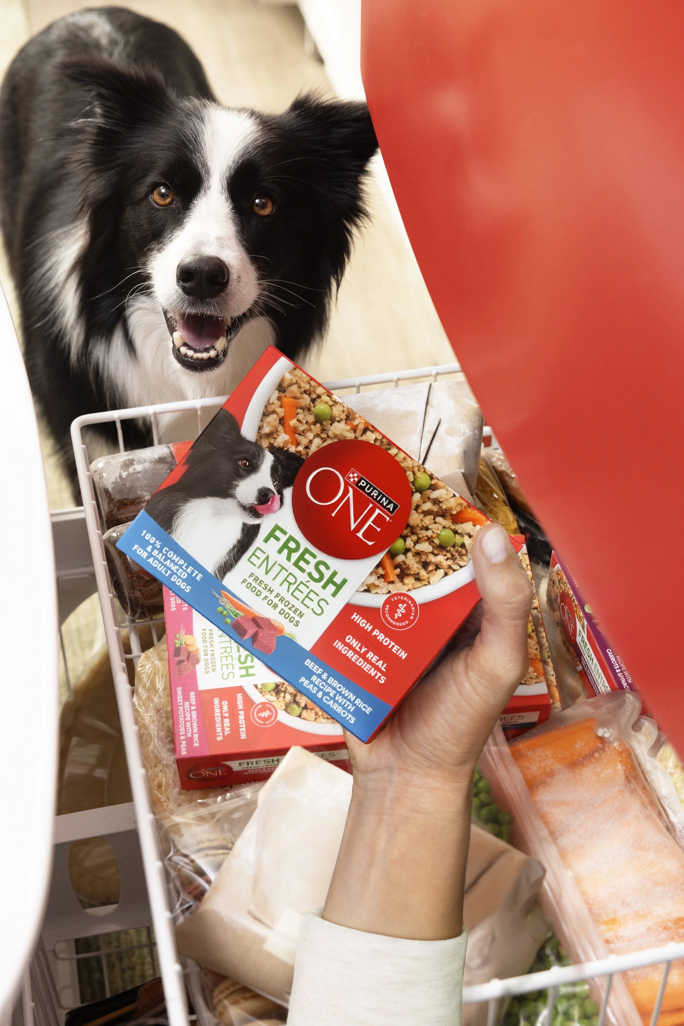 ON08900_Carousel Freezer Dog_3118.jpg